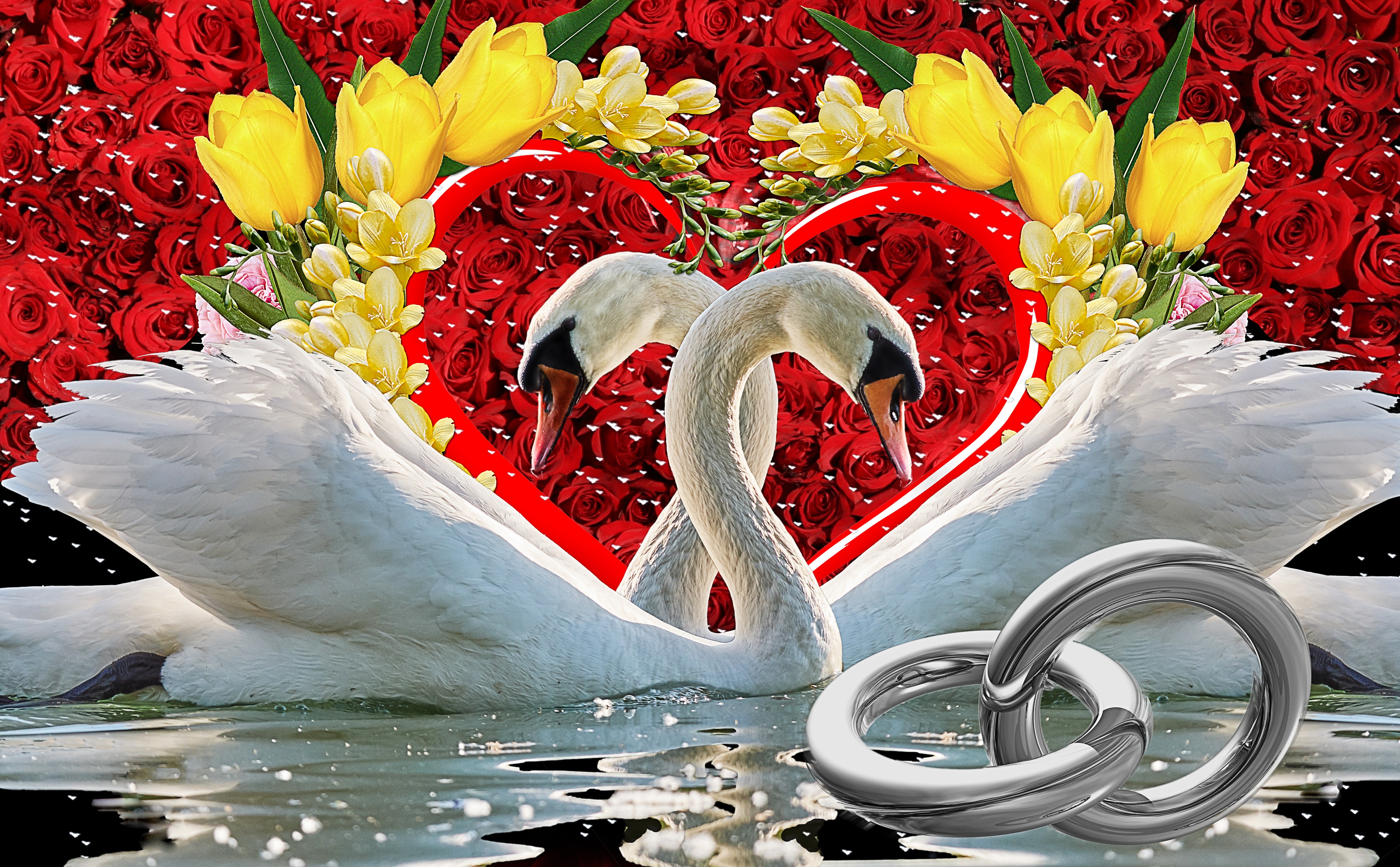 Поздравления С Днем Свадьбы С Лебедями