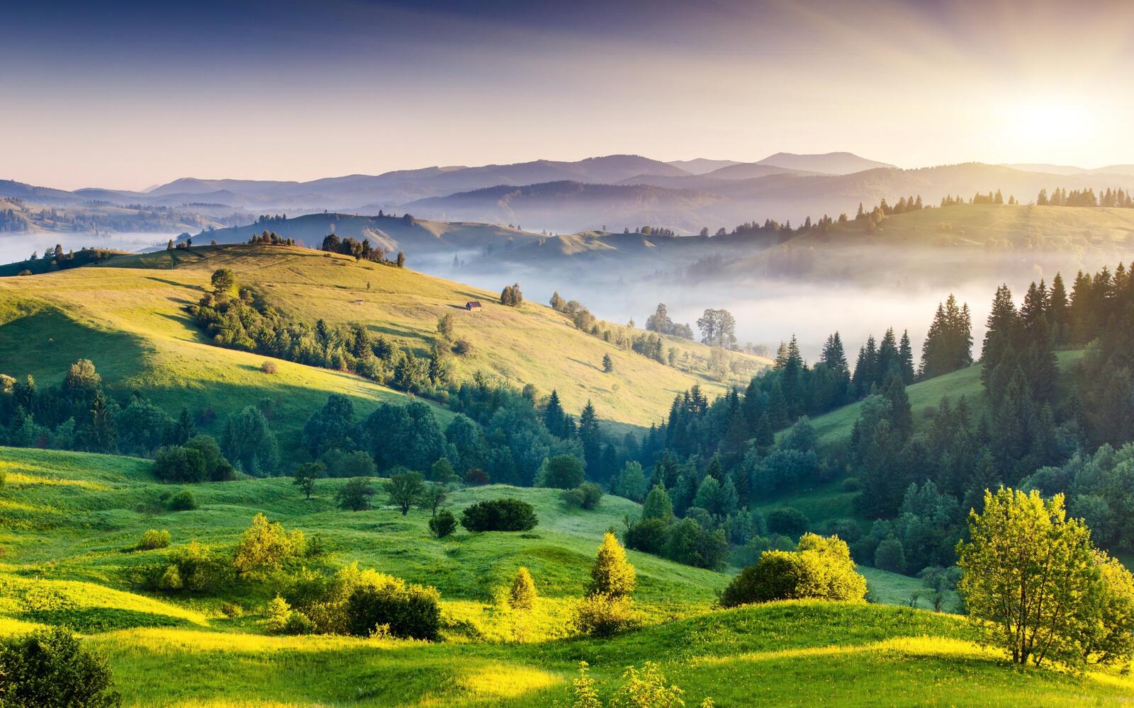 Бесплатное фото Зеленые холмы в солнечную погоду