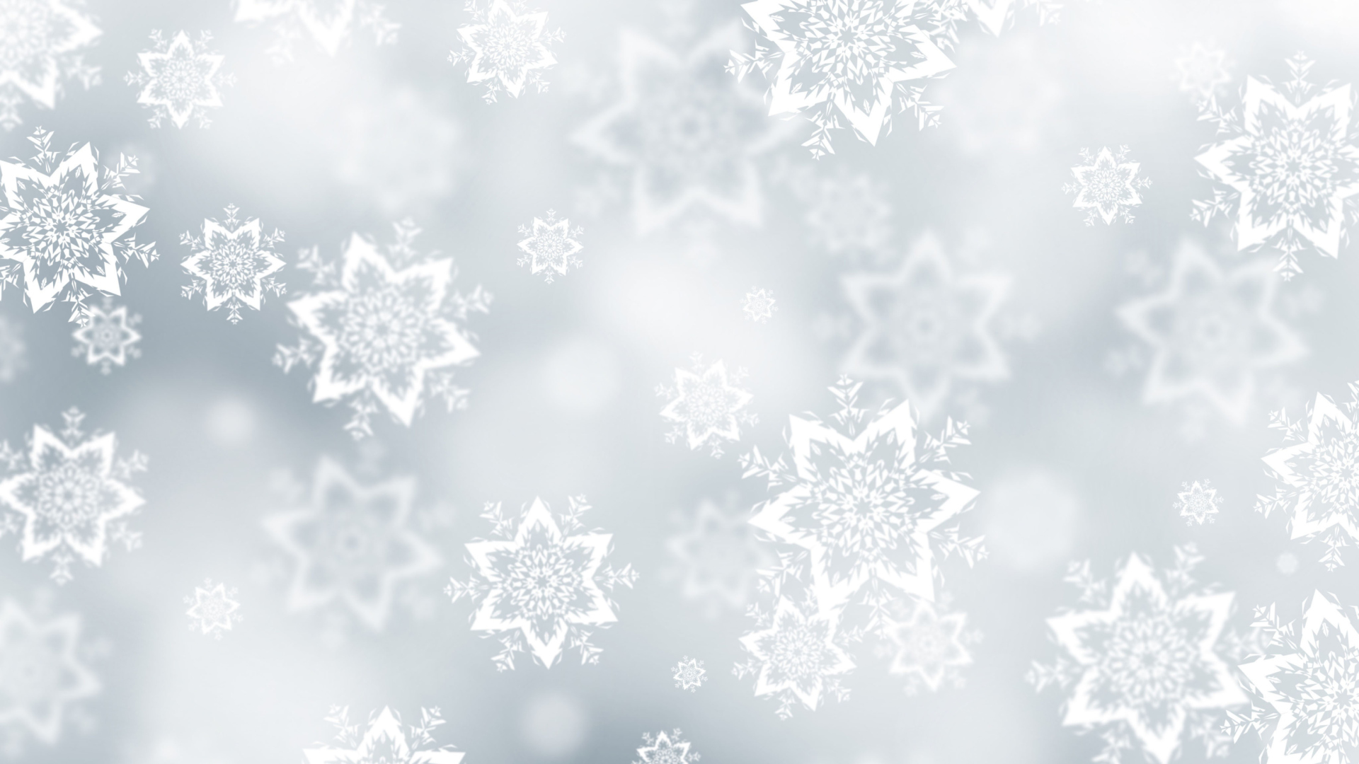 White background with snowflakes