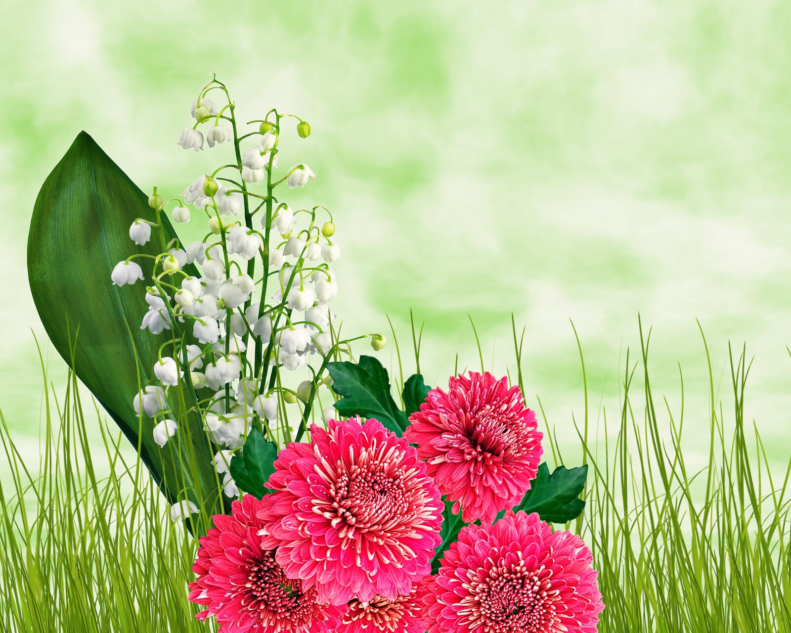 Wallpapers lilies of the valley dahlias grass on the desktop