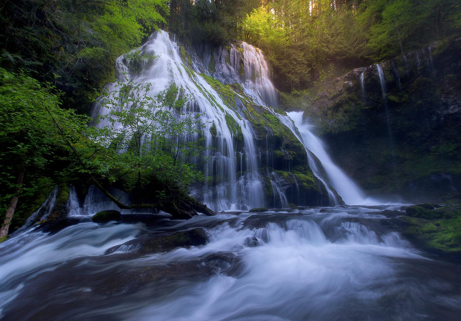 Бесплатное фото Большой водопад прямо в лесу