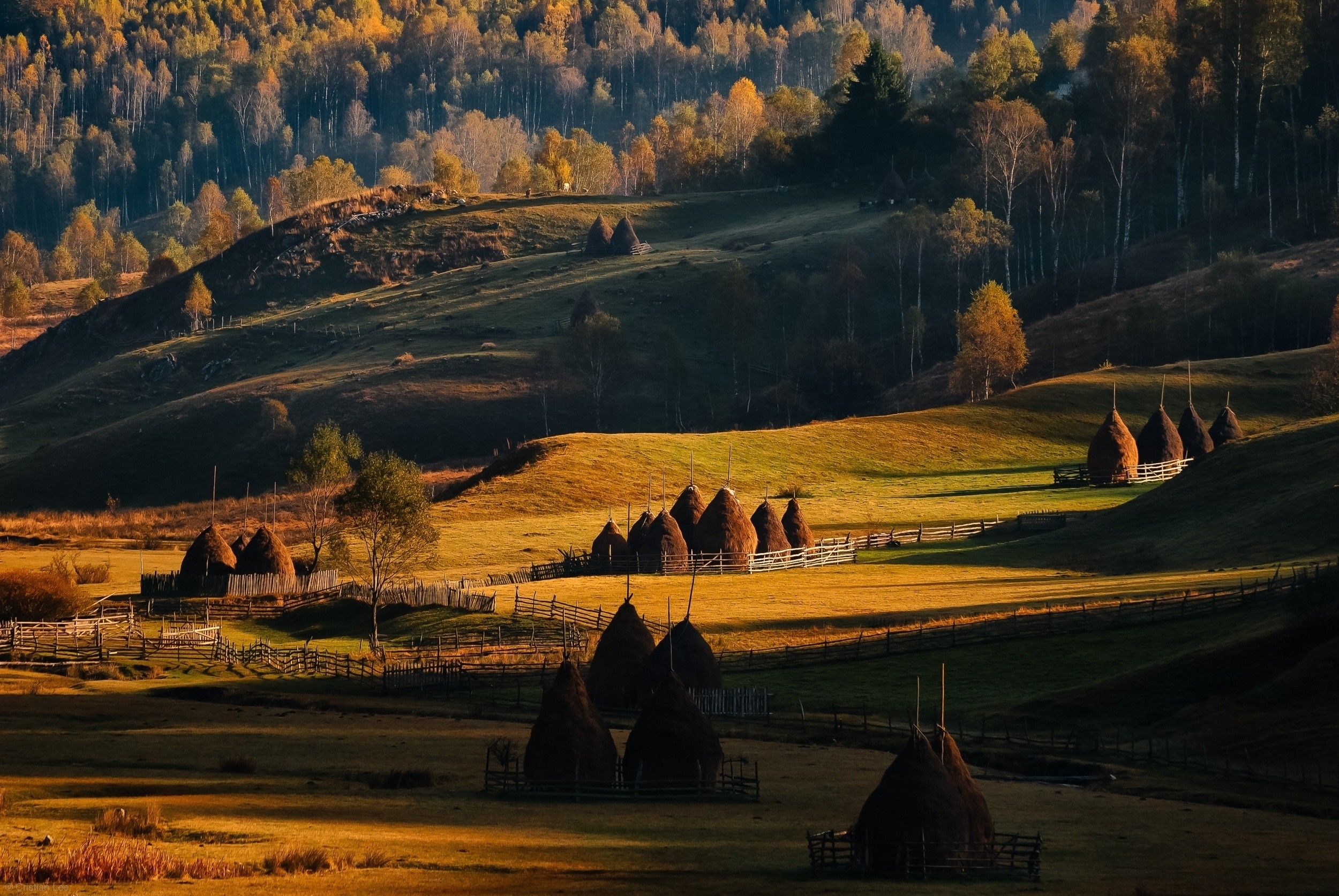 Wallpapers romania agriculture countryside on the desktop