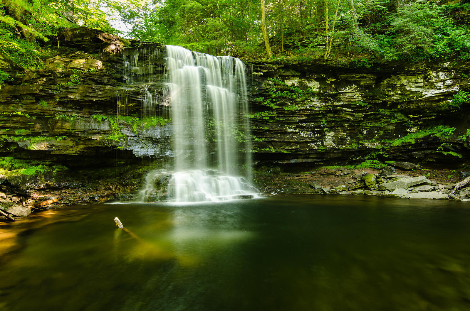 免费照片森林中的古老瀑布