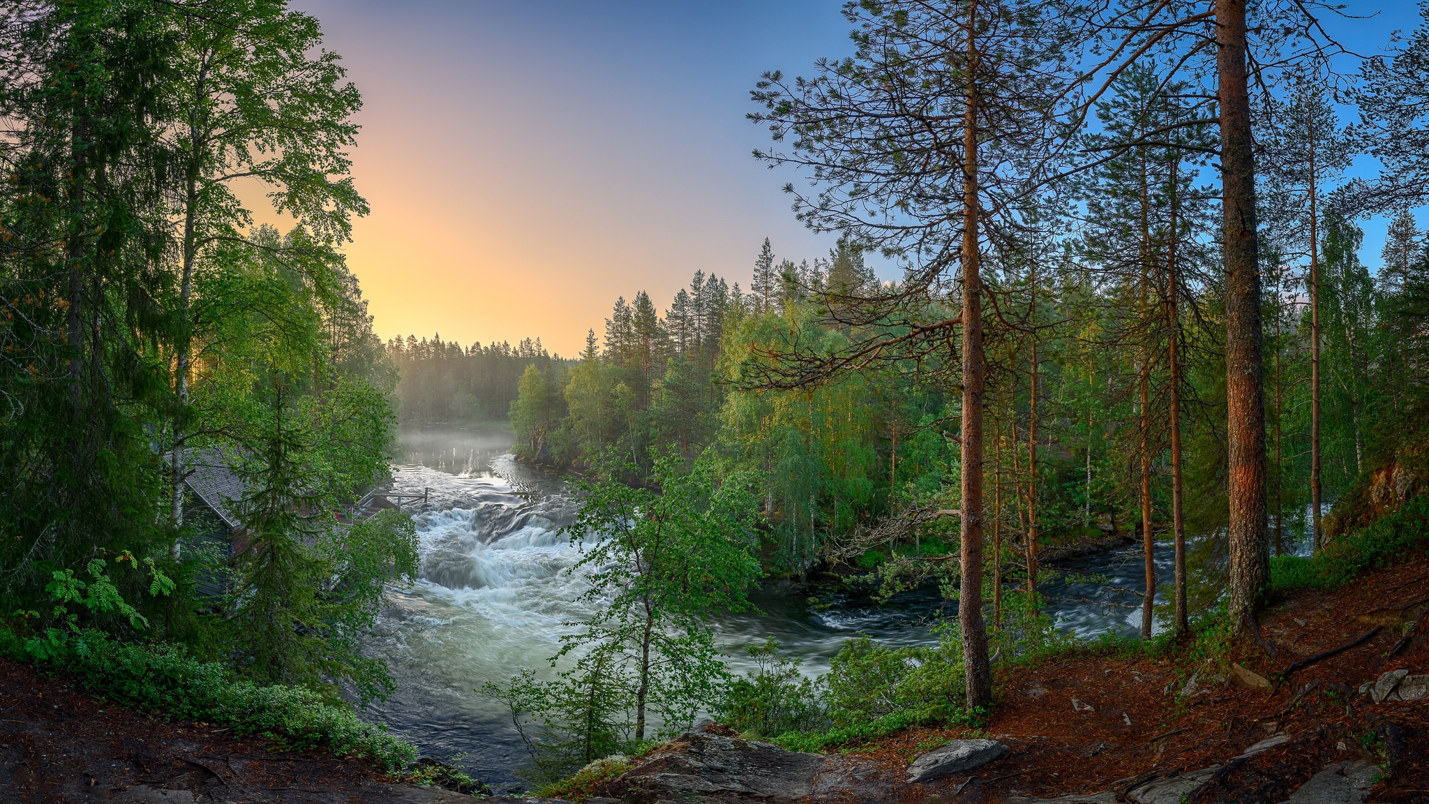 Обои на телефон река. Кивач Карелия. Тайга (хвойные леса) реки Сыктывкар. Карело-финская природа. Таежные леса Карелии.