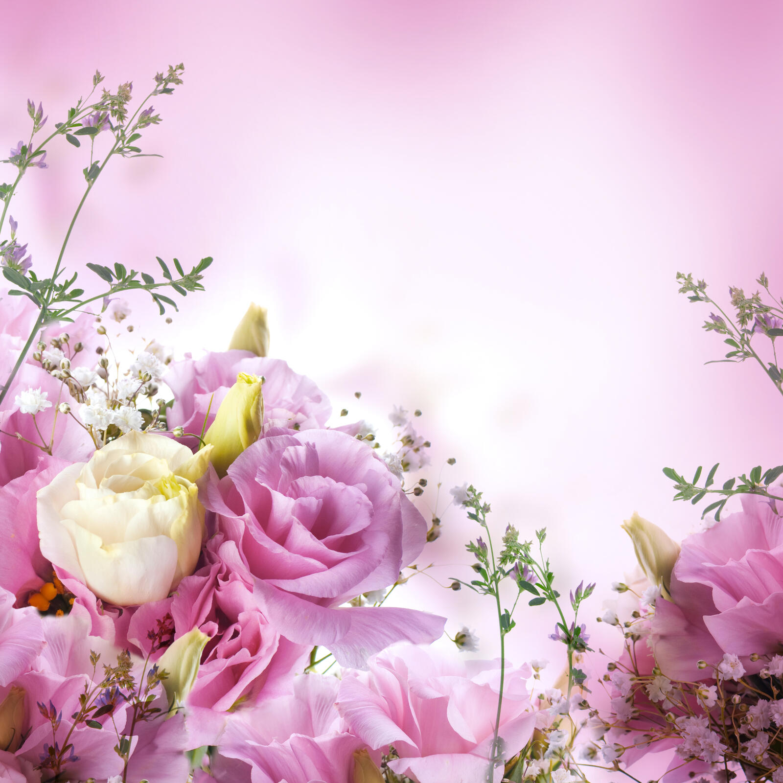 Free photo Picture with pink roses