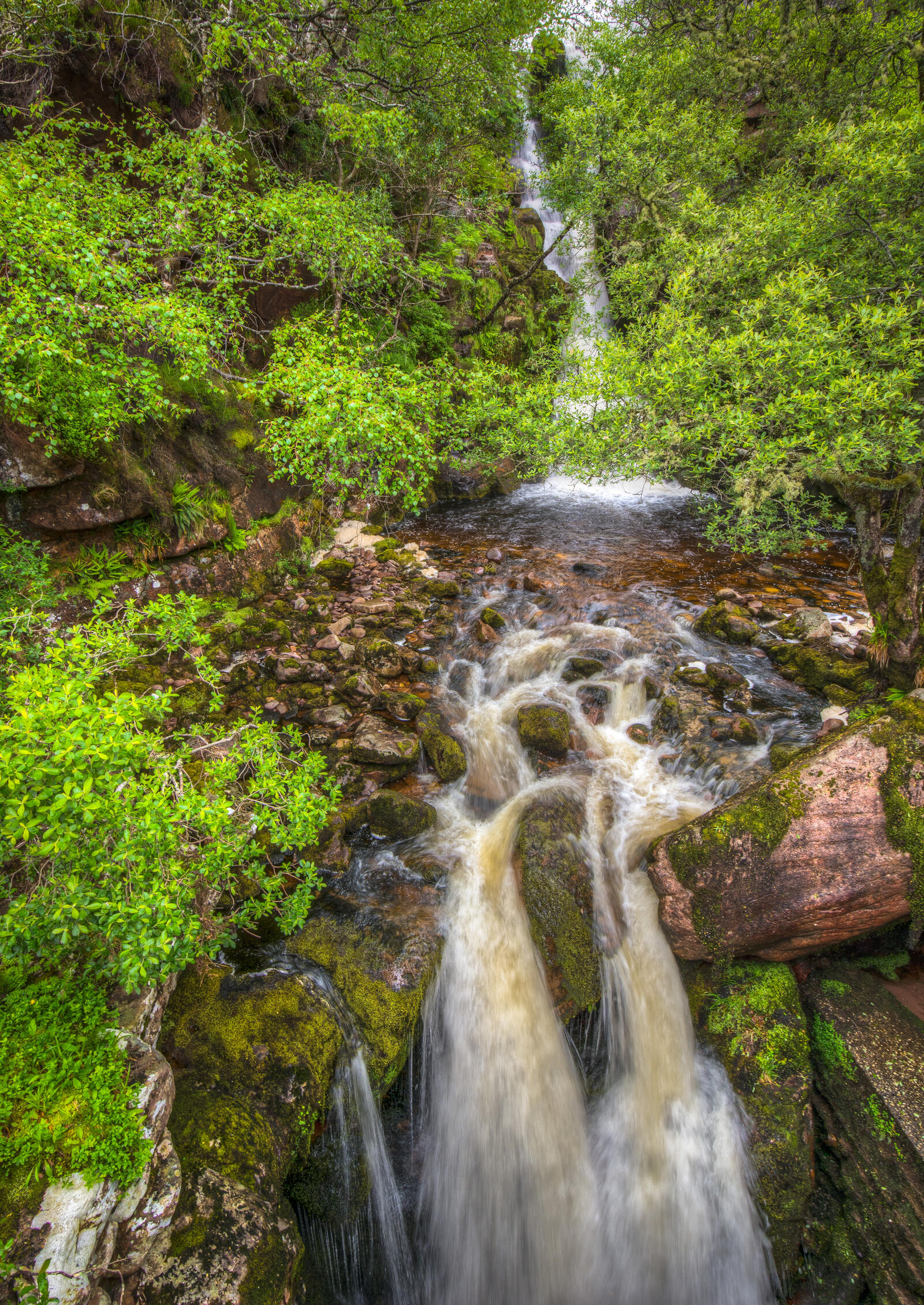 Wallpapers landscapes stones waterfall in the forest on the desktop