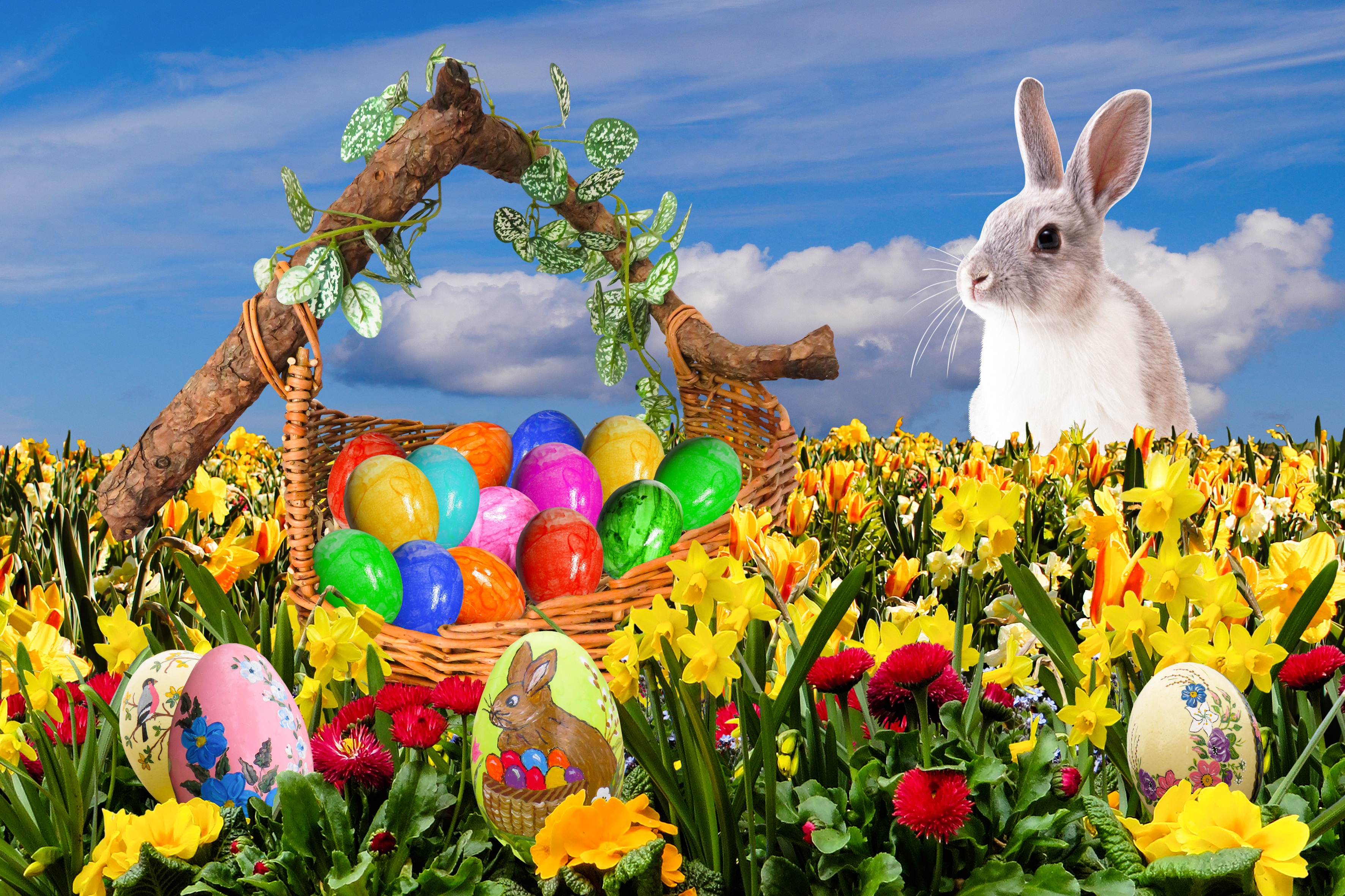Download a free photo about Easter happy Easter Easter nest. 