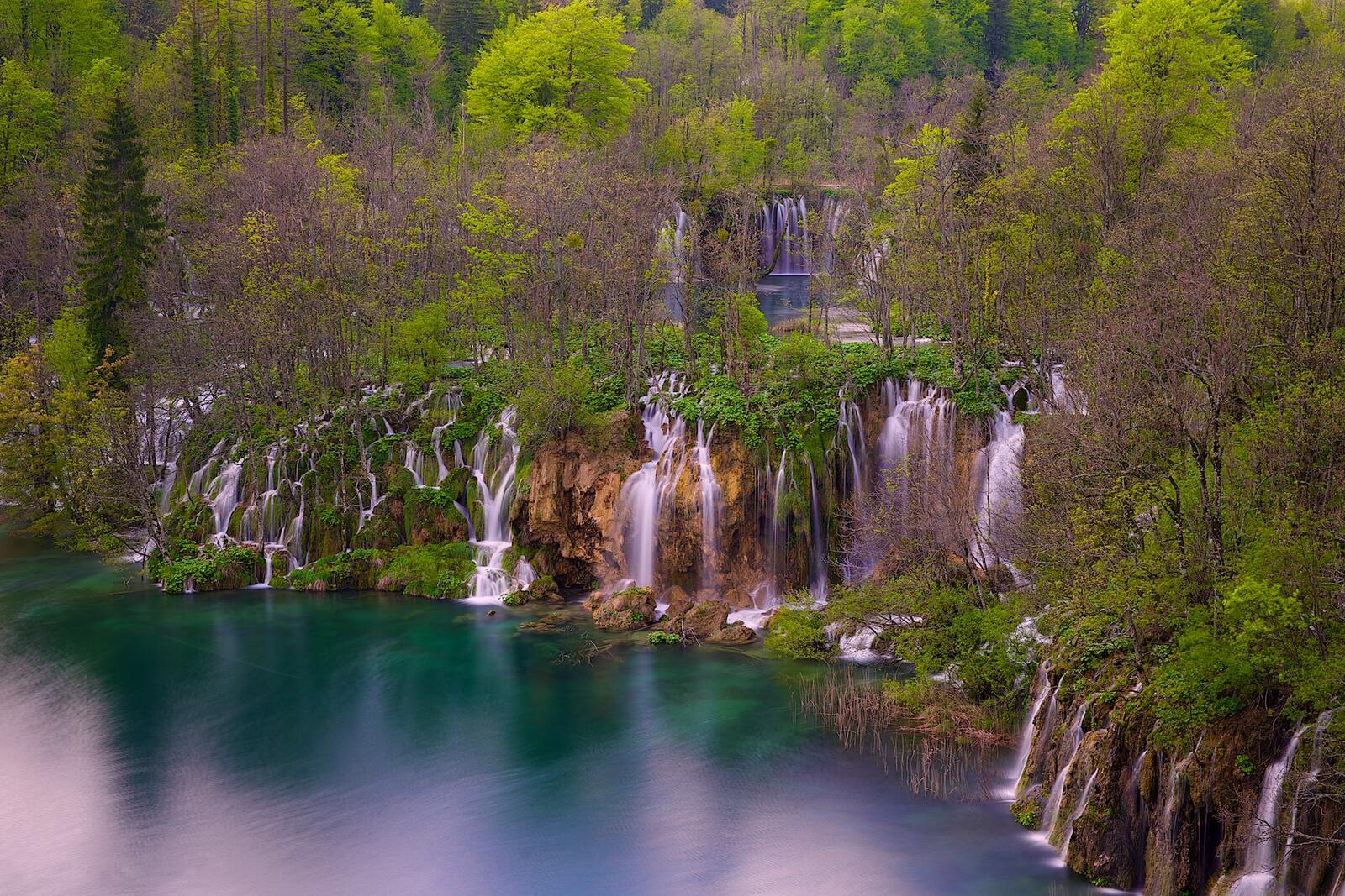 Обои Хорватия деревья Национальный парк Плитвицкие озера на рабочий стол