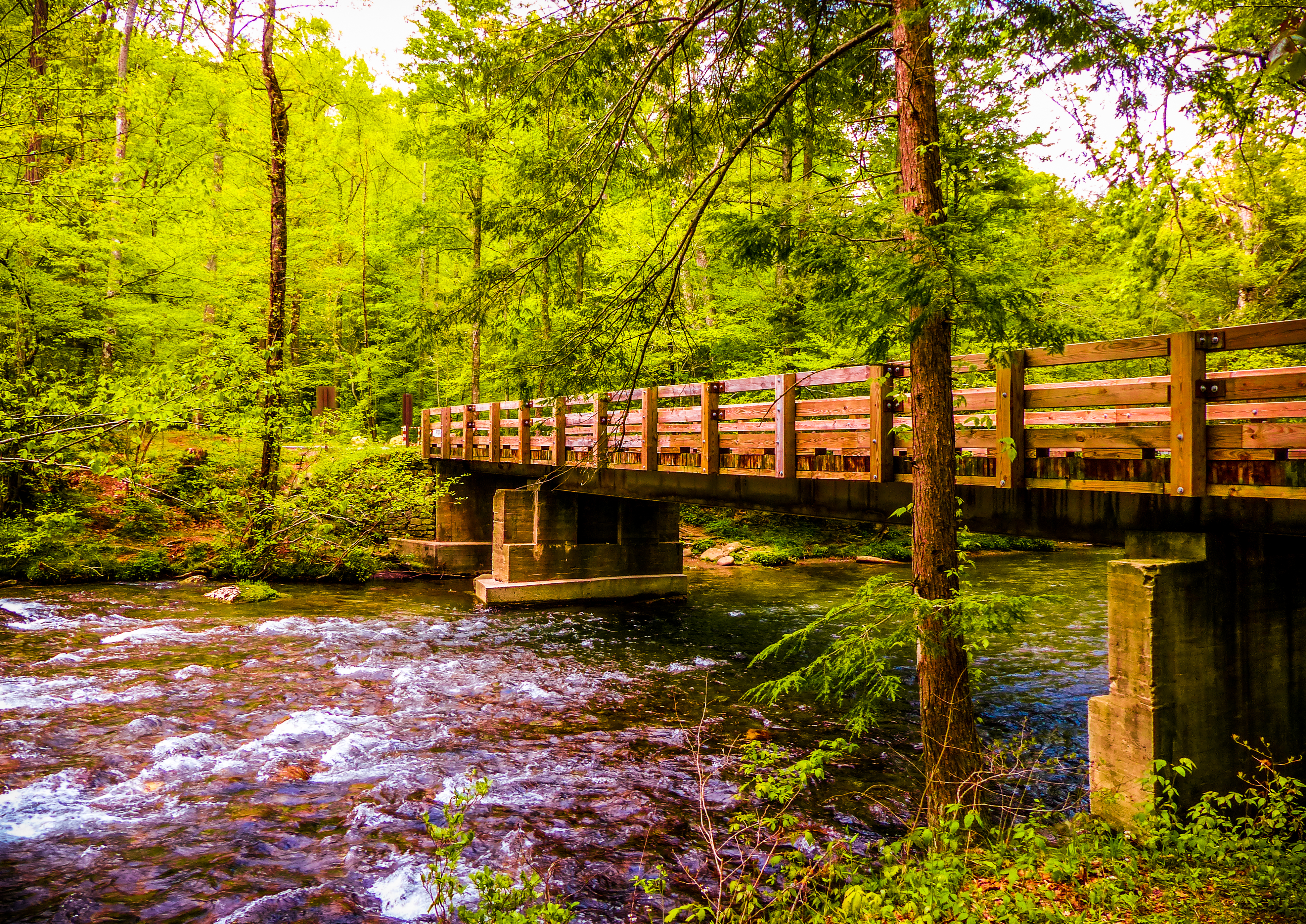 Обои Great Smoky Mountains National Park река мост на рабочий стол