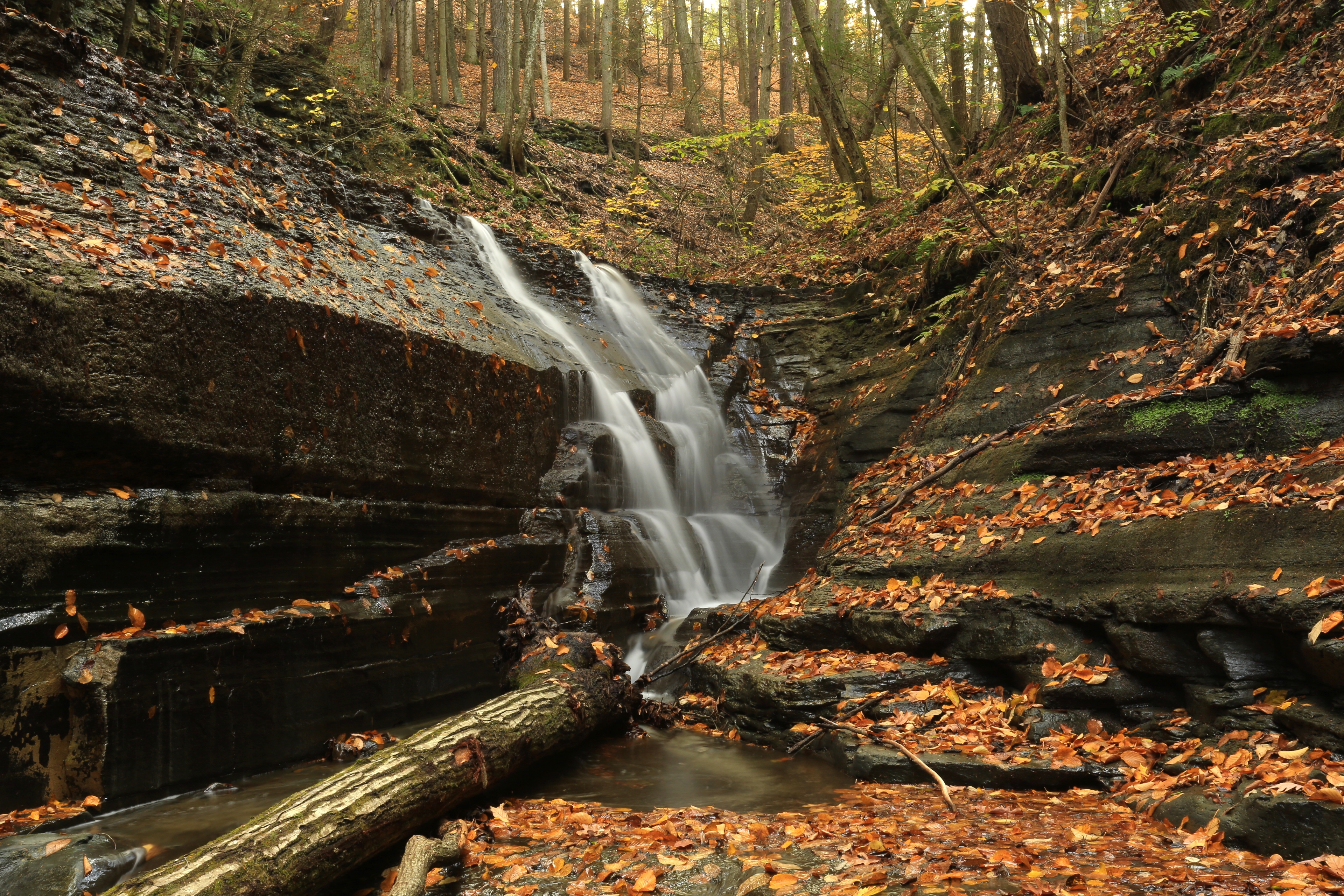 Обои Маленький водопад в Итака штат Нью-Йорк США осень на рабочий стол