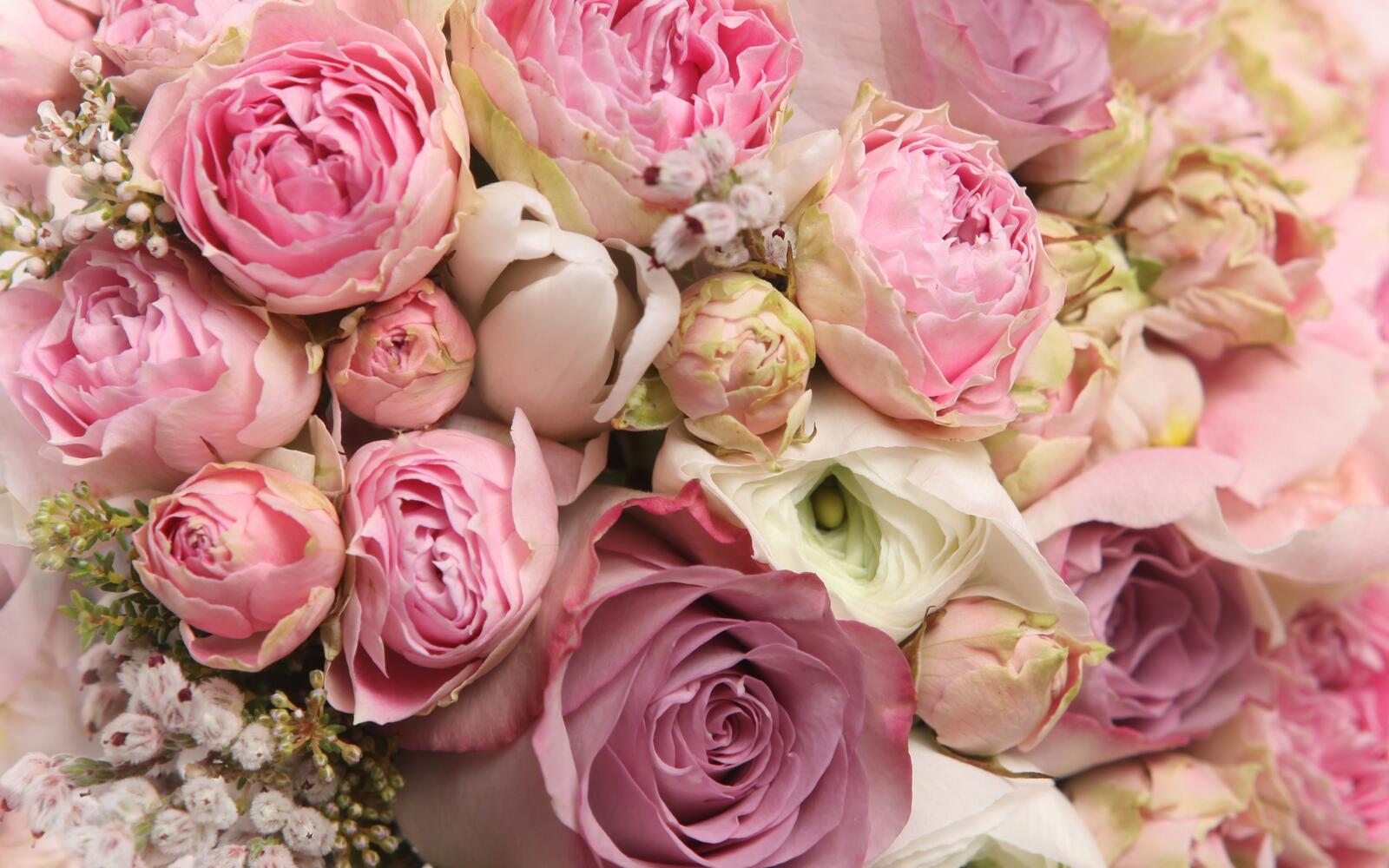 Wallpapers beautiful bouquets cool on the desktop