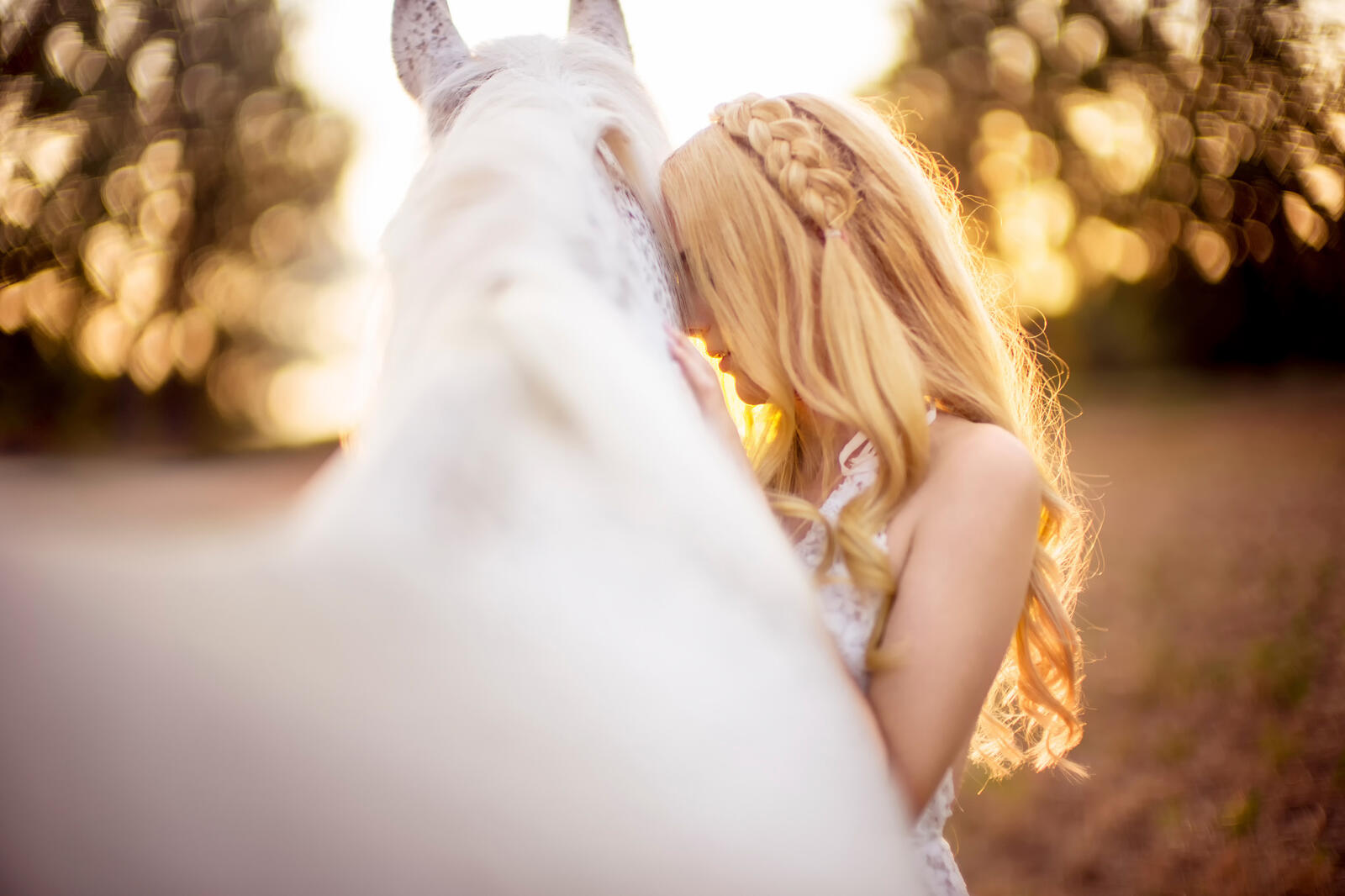 Бесплатное фото Девушка и белая лошадь