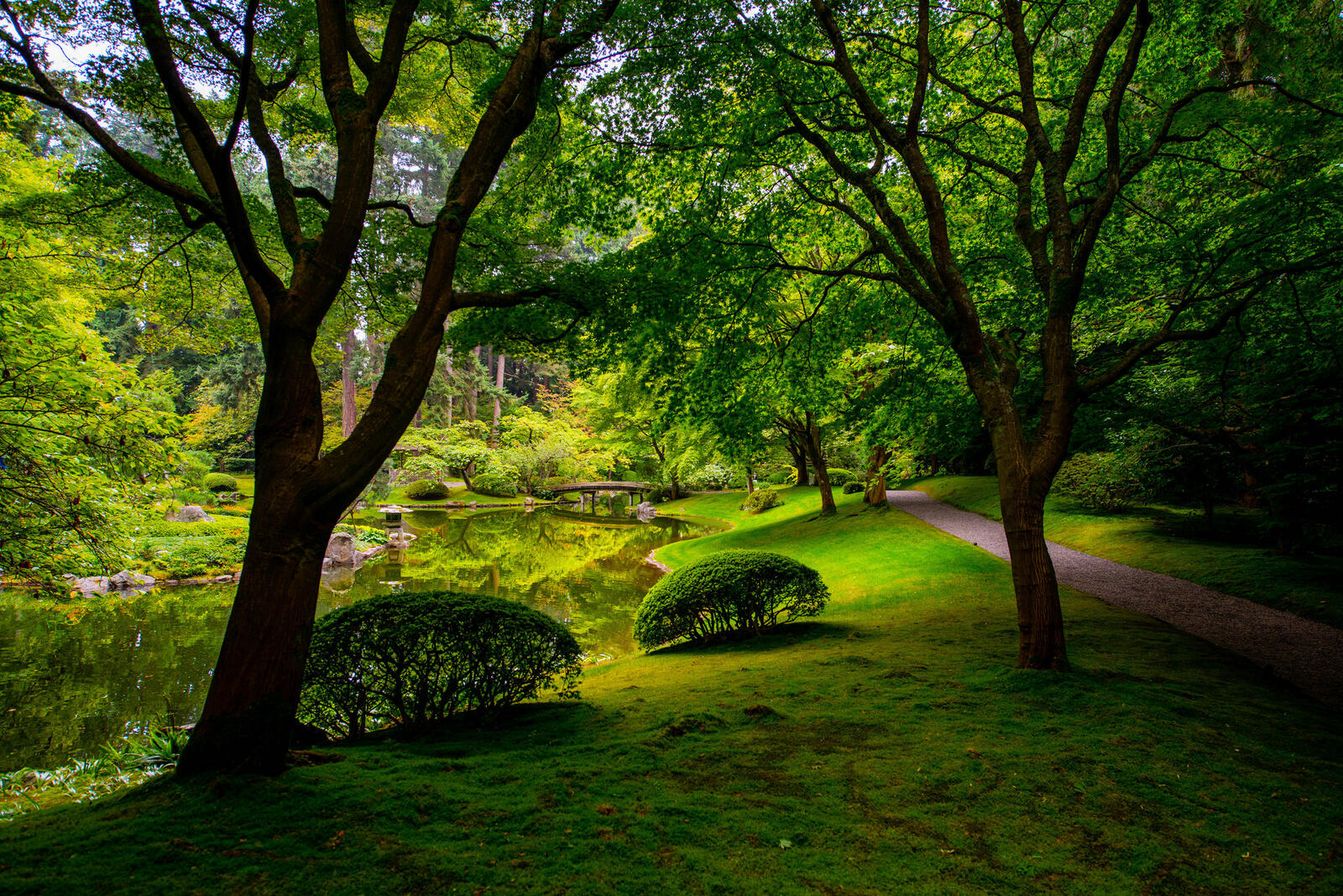 Обои Nitobe Memorial Garden Japanese garden Vancouver на рабочий стол