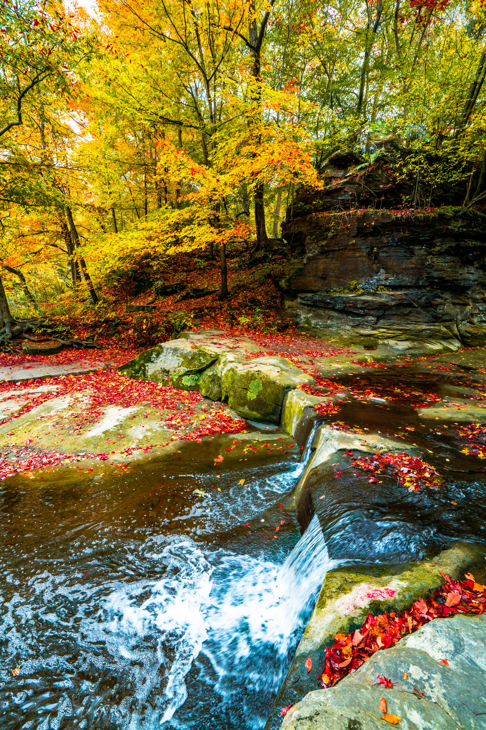 Wallpapers autumn leaves landscape rocks on the desktop