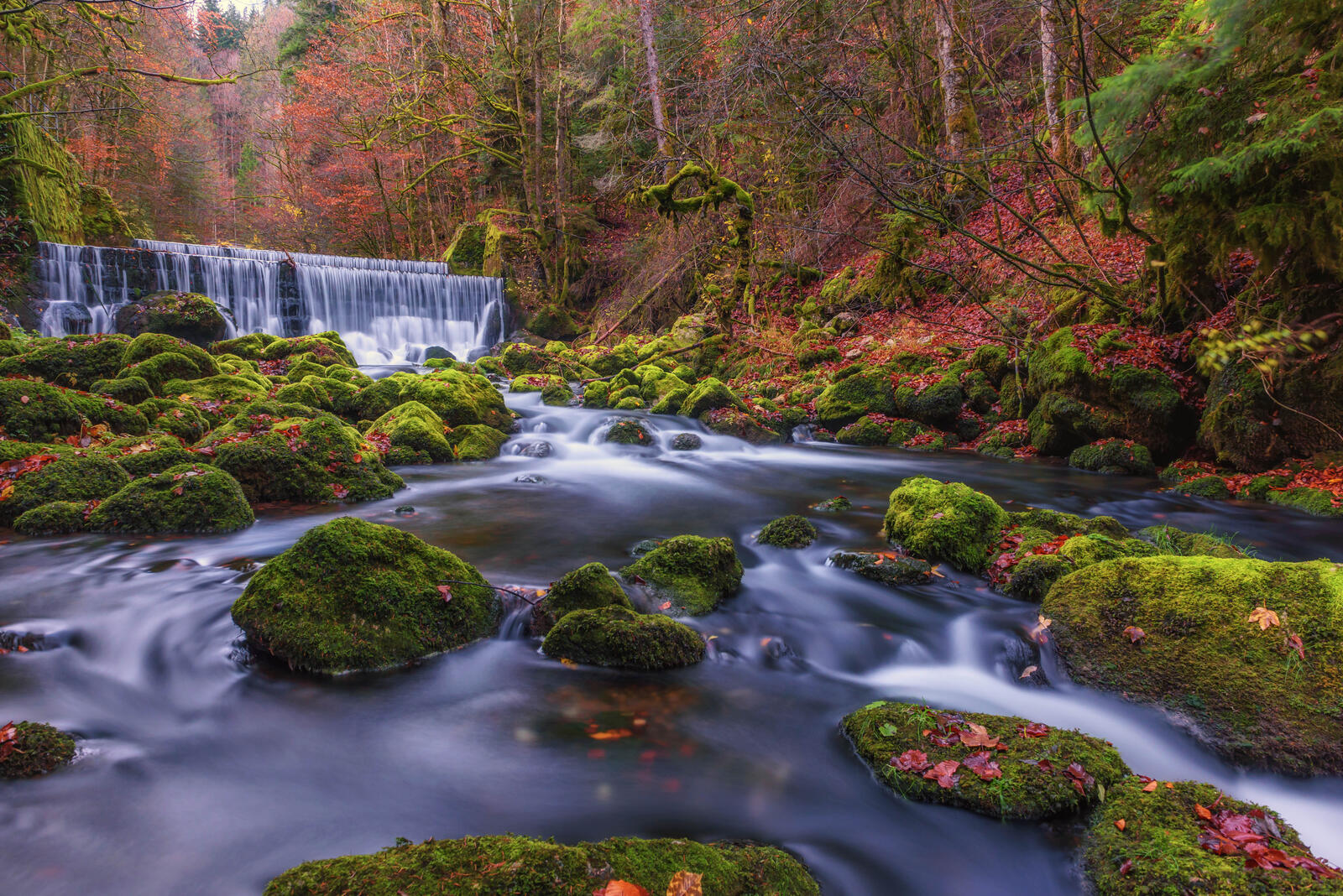 Wallpapers autumn stream current on the desktop