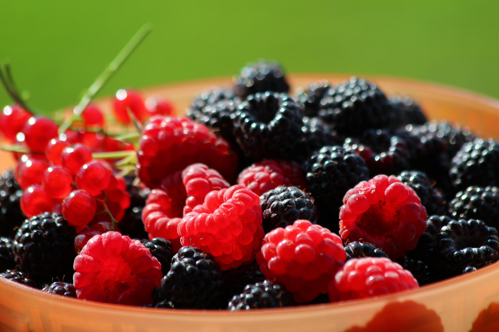 Free photo Blackberries, raspberries, currants