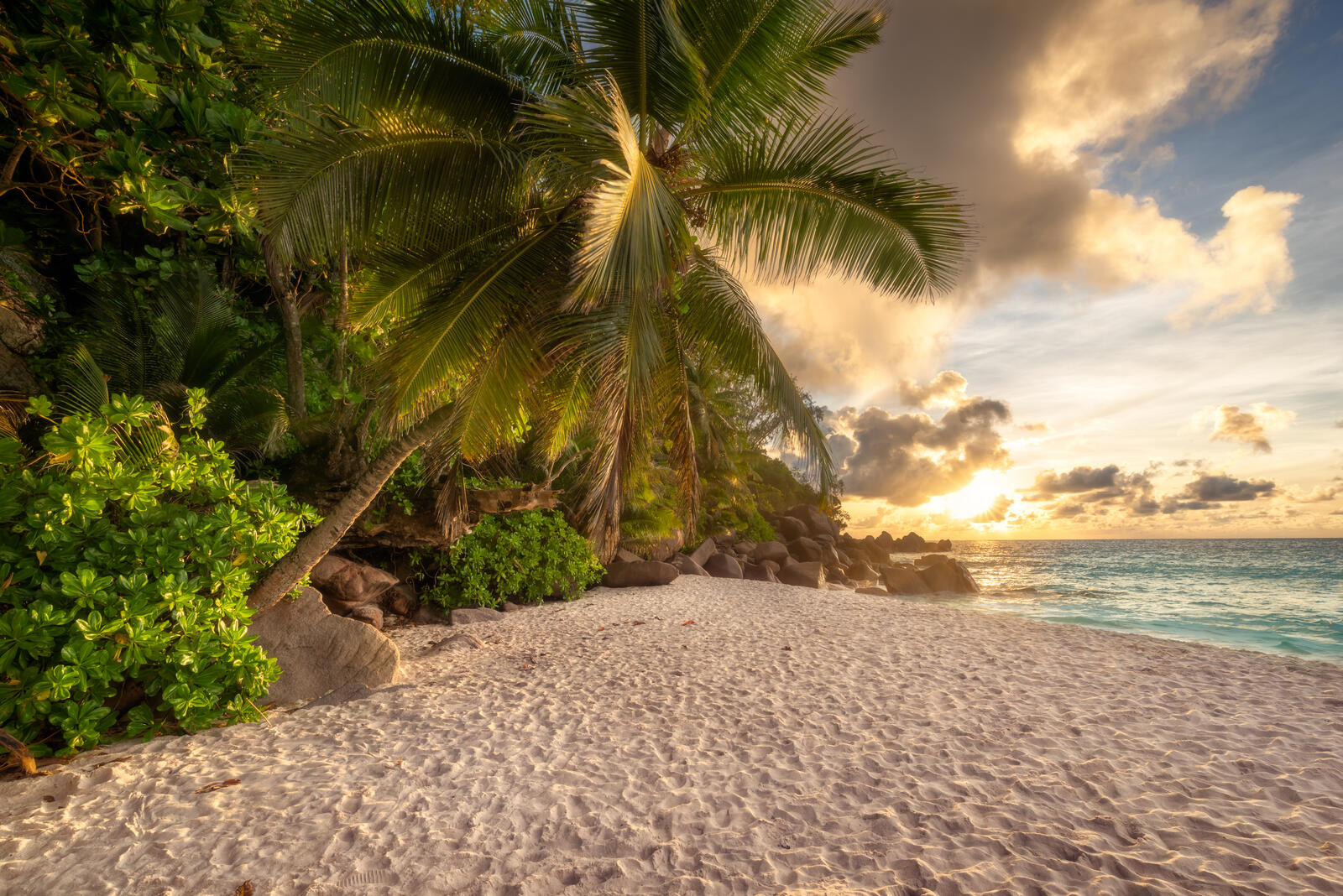 Wallpapers Seychelles on Praslin island at sunset sea beach on the desktop