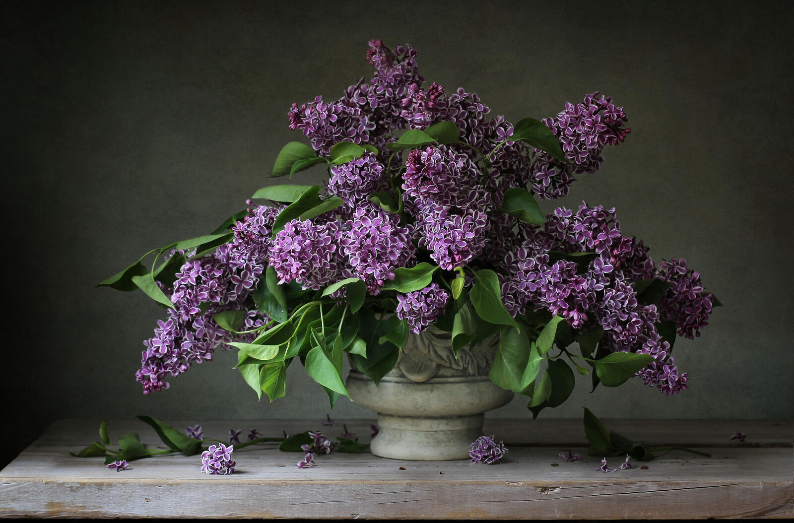Wallpapers table lilac still life on the desktop
