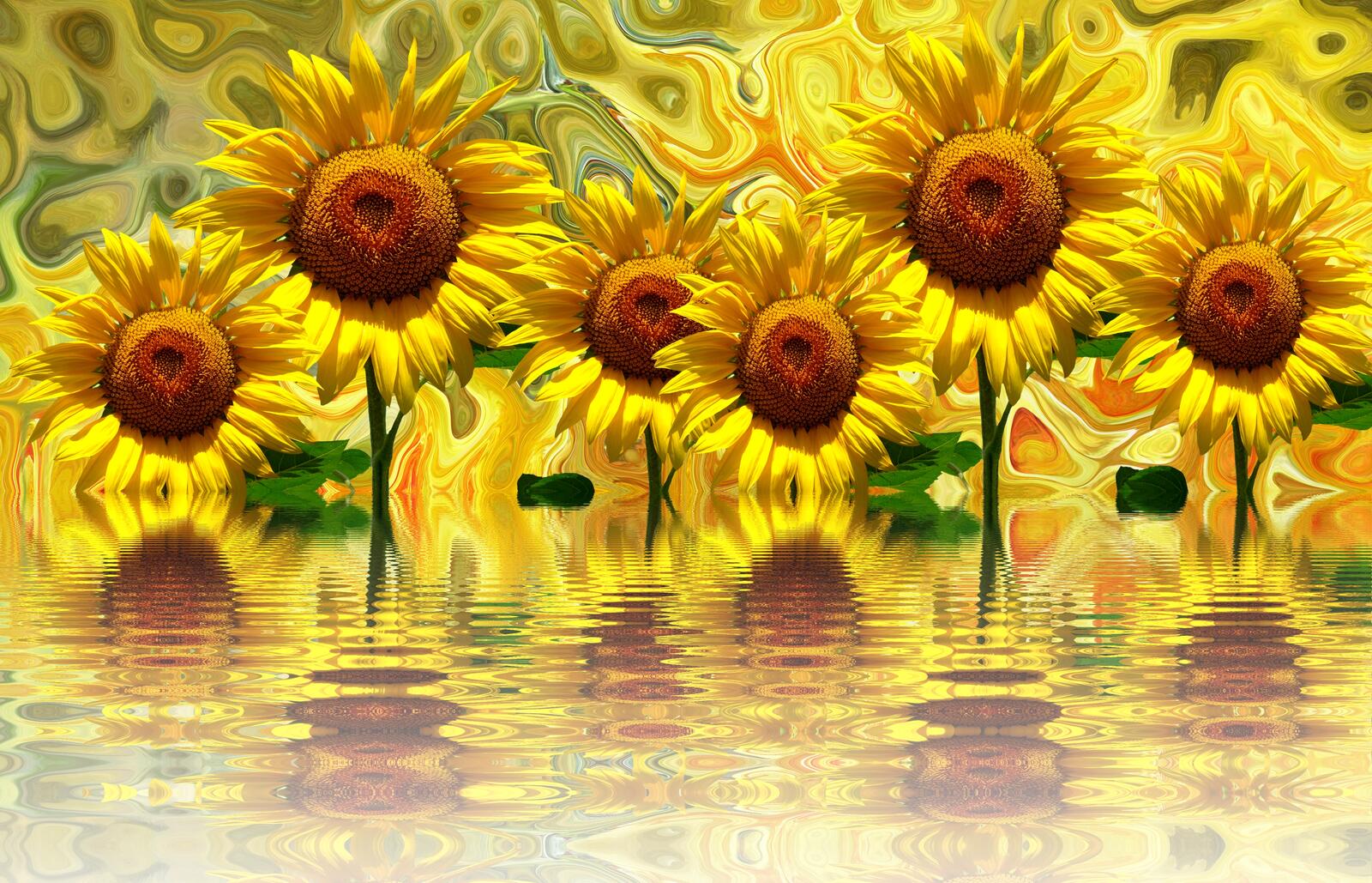Wallpapers sunflower sunflowers flowers on the desktop