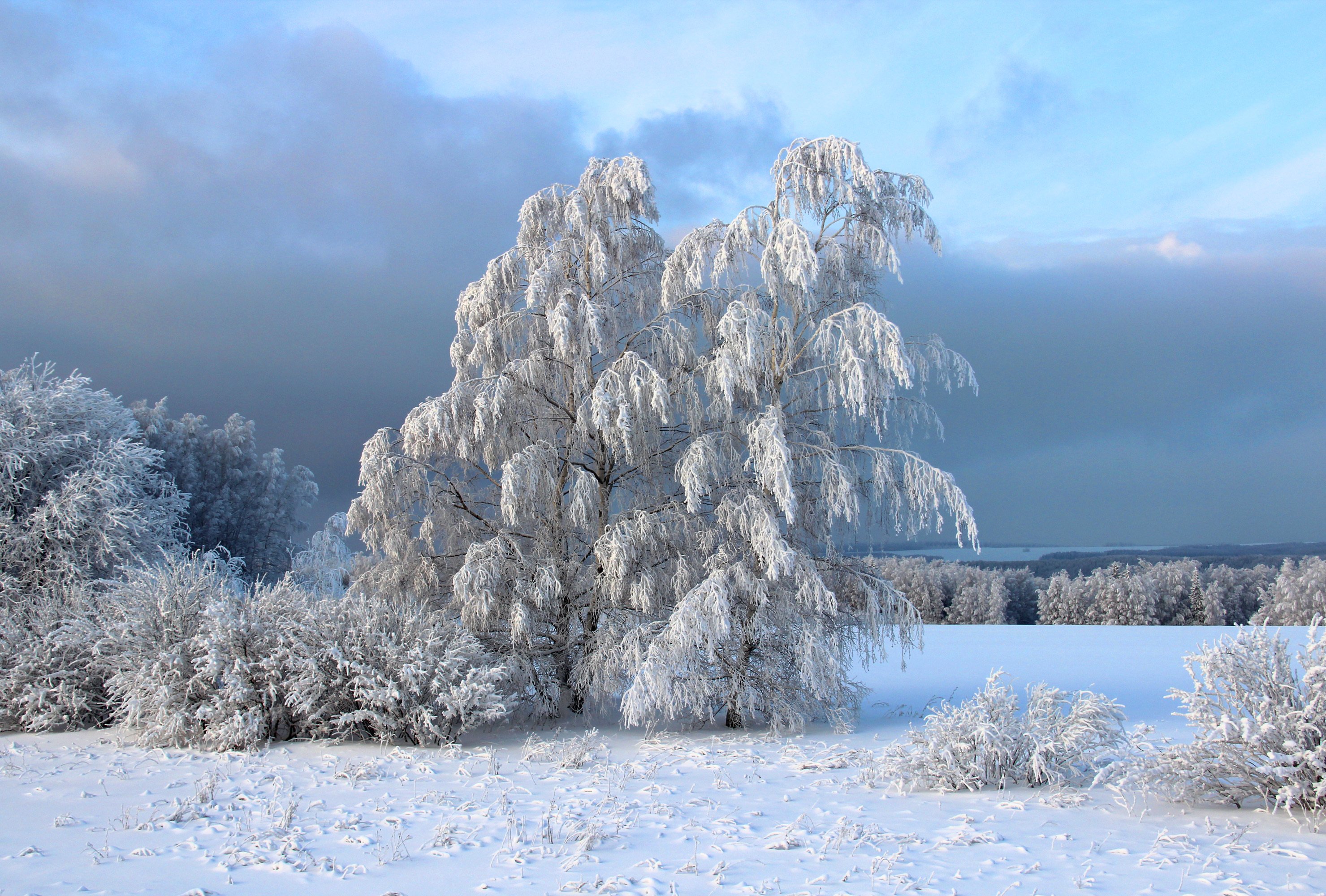 Бесплатное фото Зимушка зима