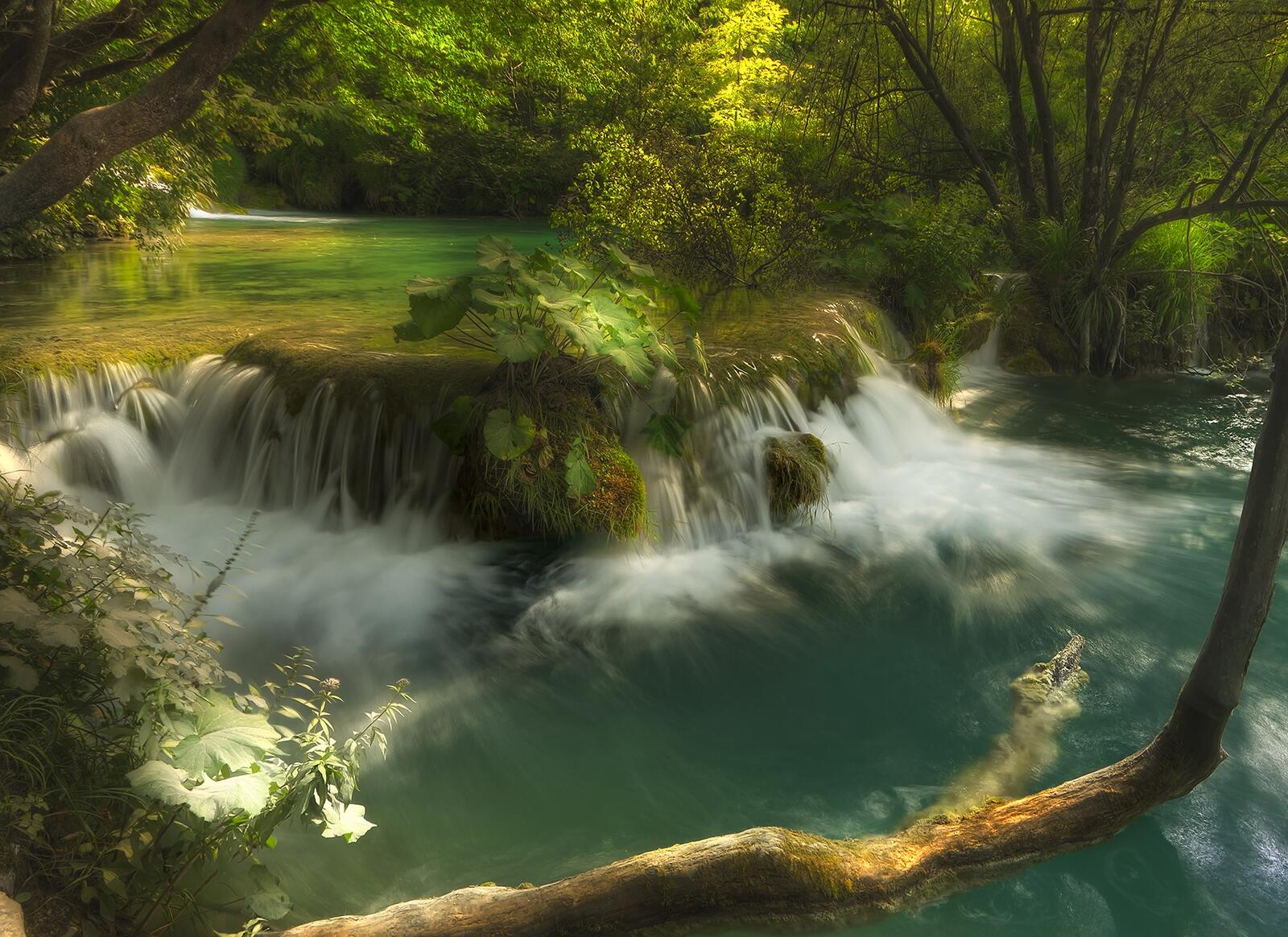 Wallpapers plitvice lakes national park waterfall forest on the desktop