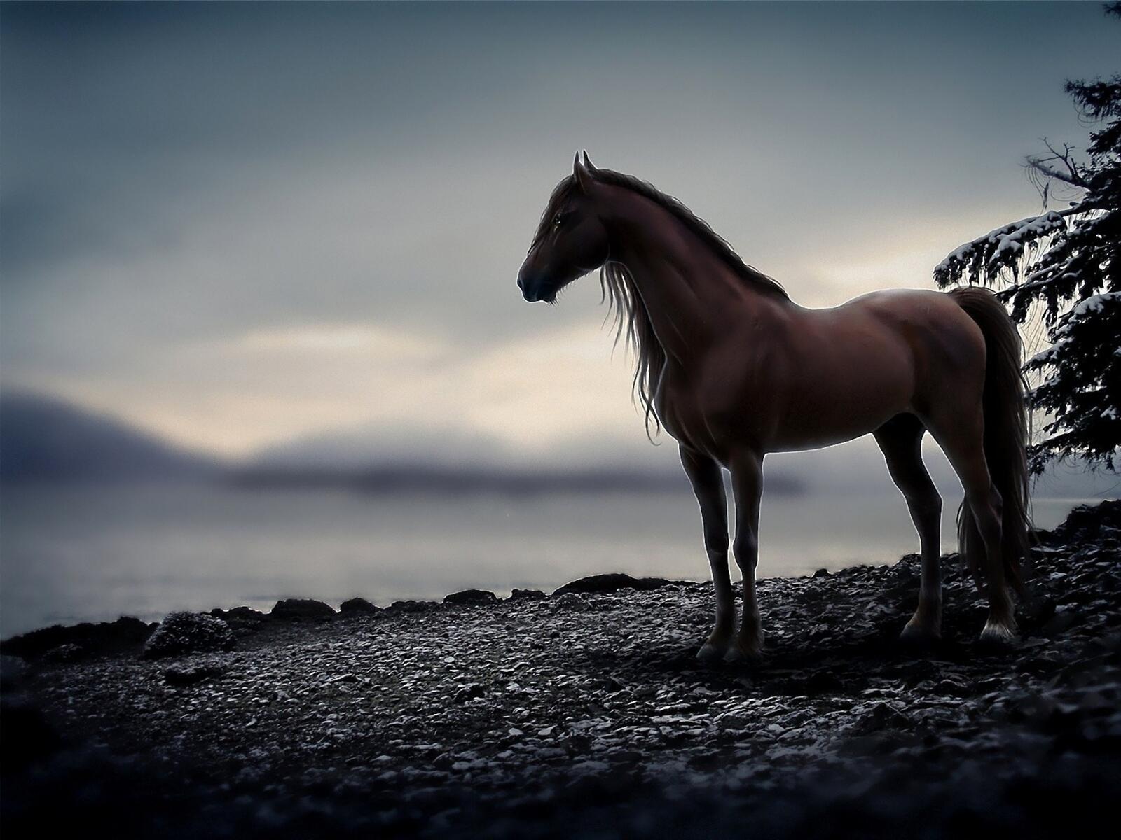 Бесплатное фото Лошадь на берегу реки