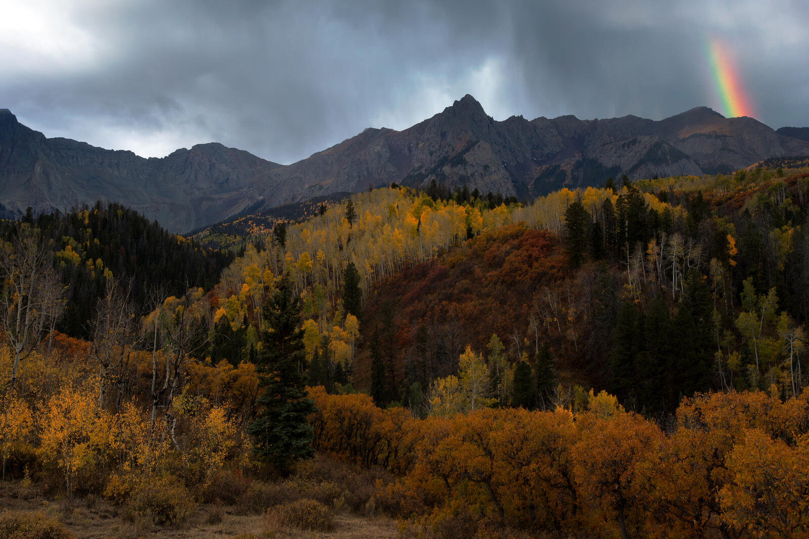 免费照片在山中的秋天