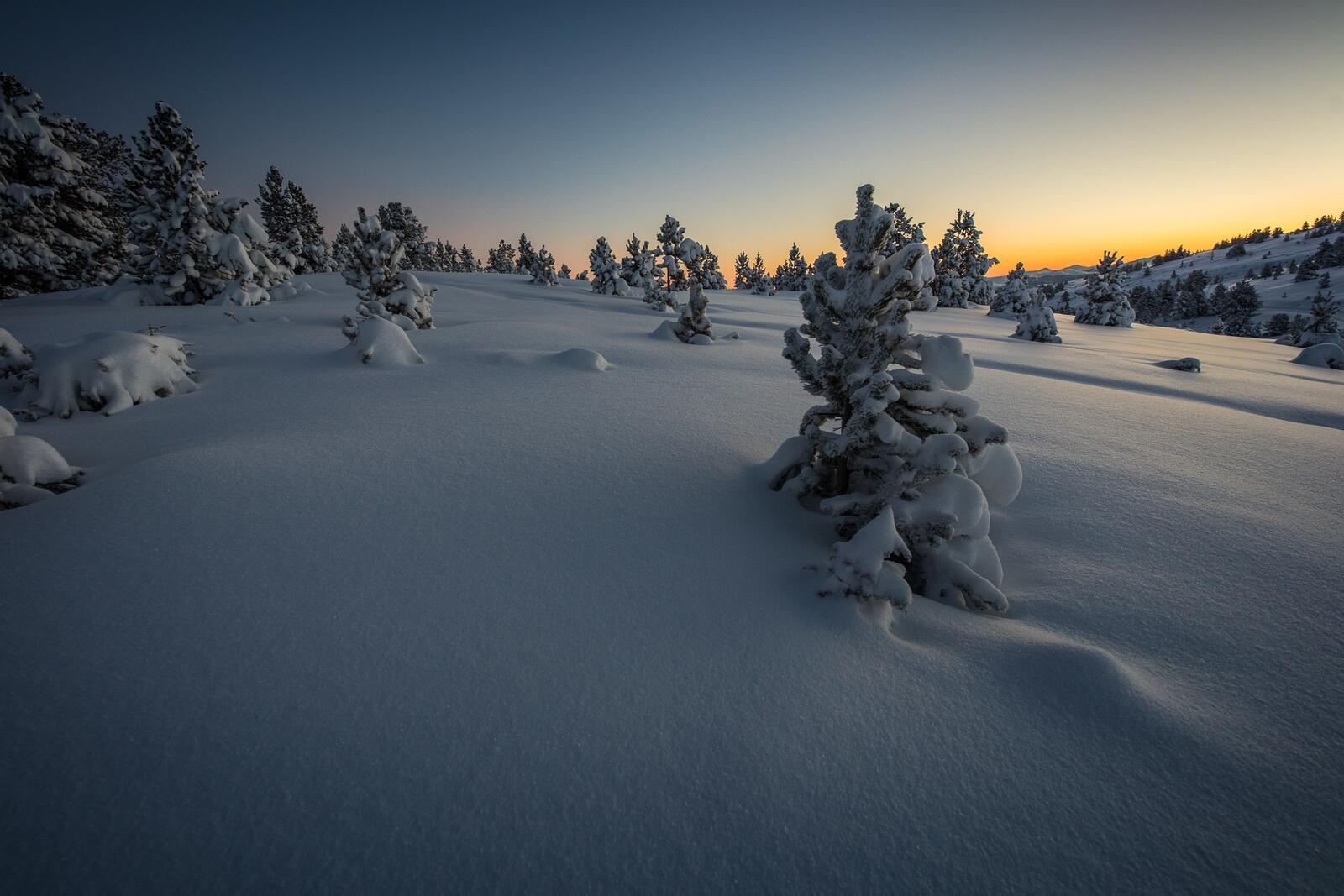 Бесплатное фото Красивые обои зима, закат, снег на рабочий стол