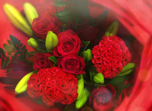 Greeting bouquet of red roses