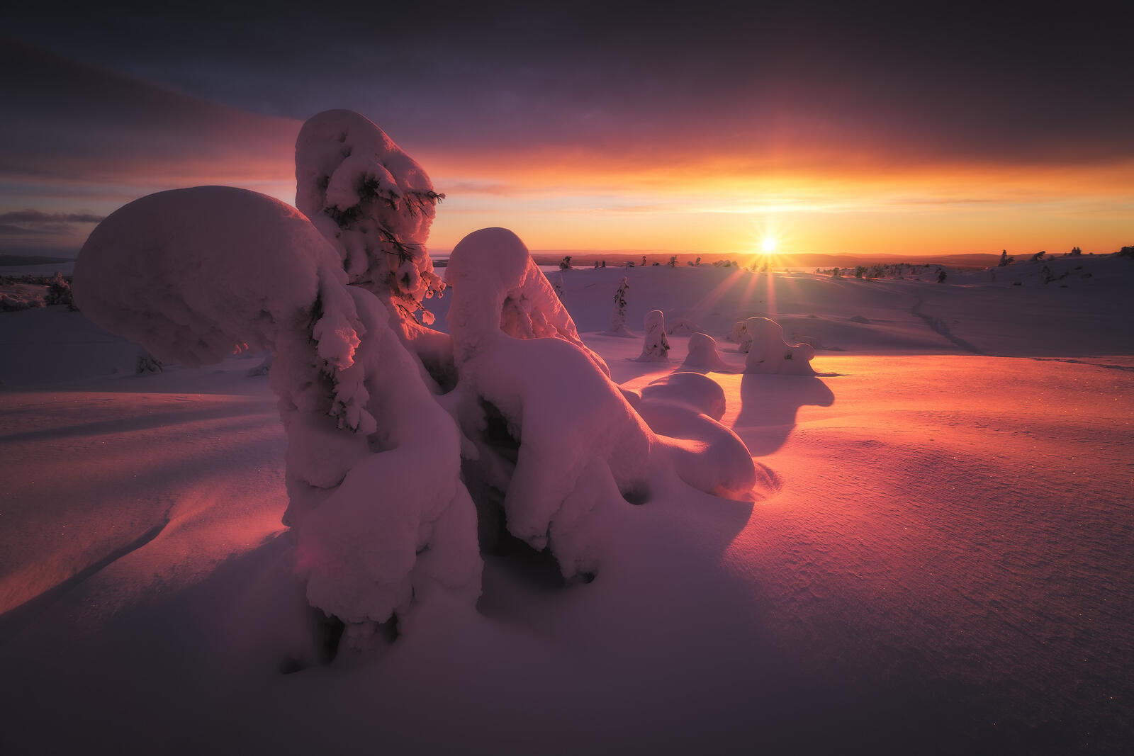 Бесплатное фото Зимняя красота Русского Севера