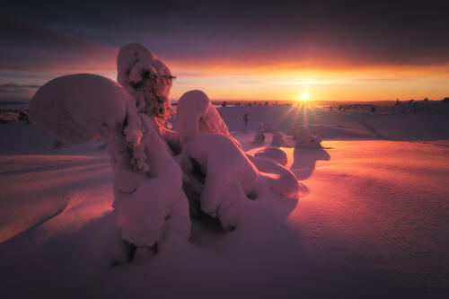 Зимняя красота Русского Севера · бесплатное фото