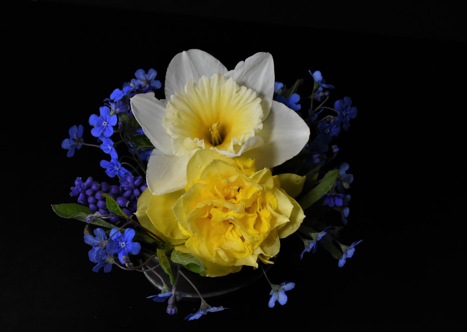 Обои весенние цветы романтика фоновое изображение на рабочий стол