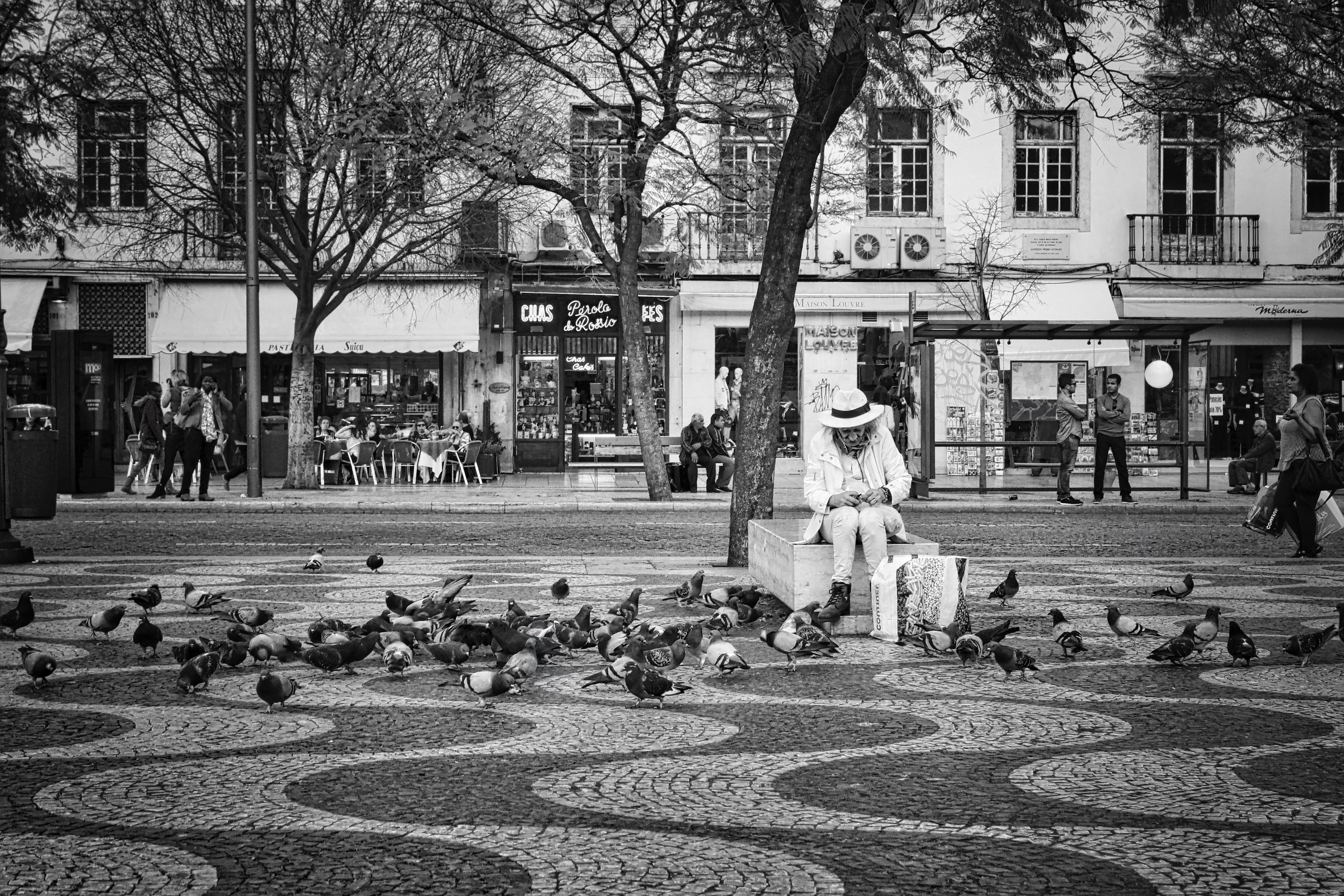 Фото пешеход человек птица - бесплатные картинки на Fonwall