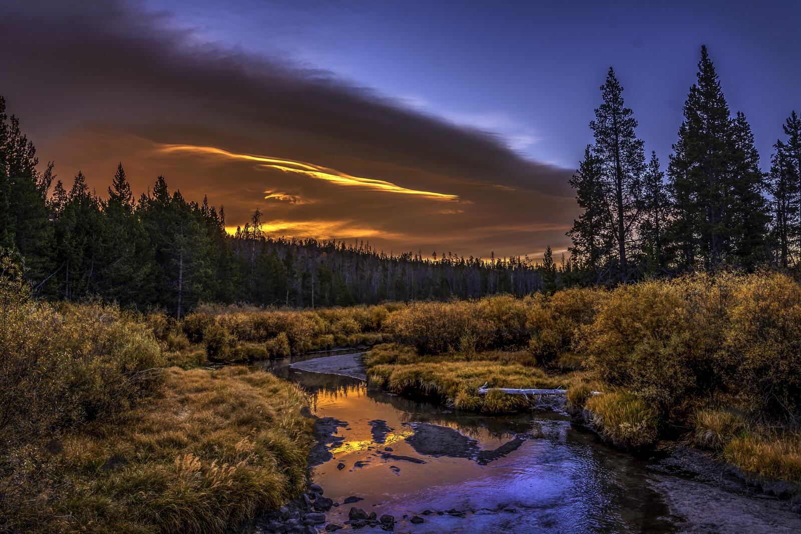 Бесплатное фото Осенний ручей в лесу