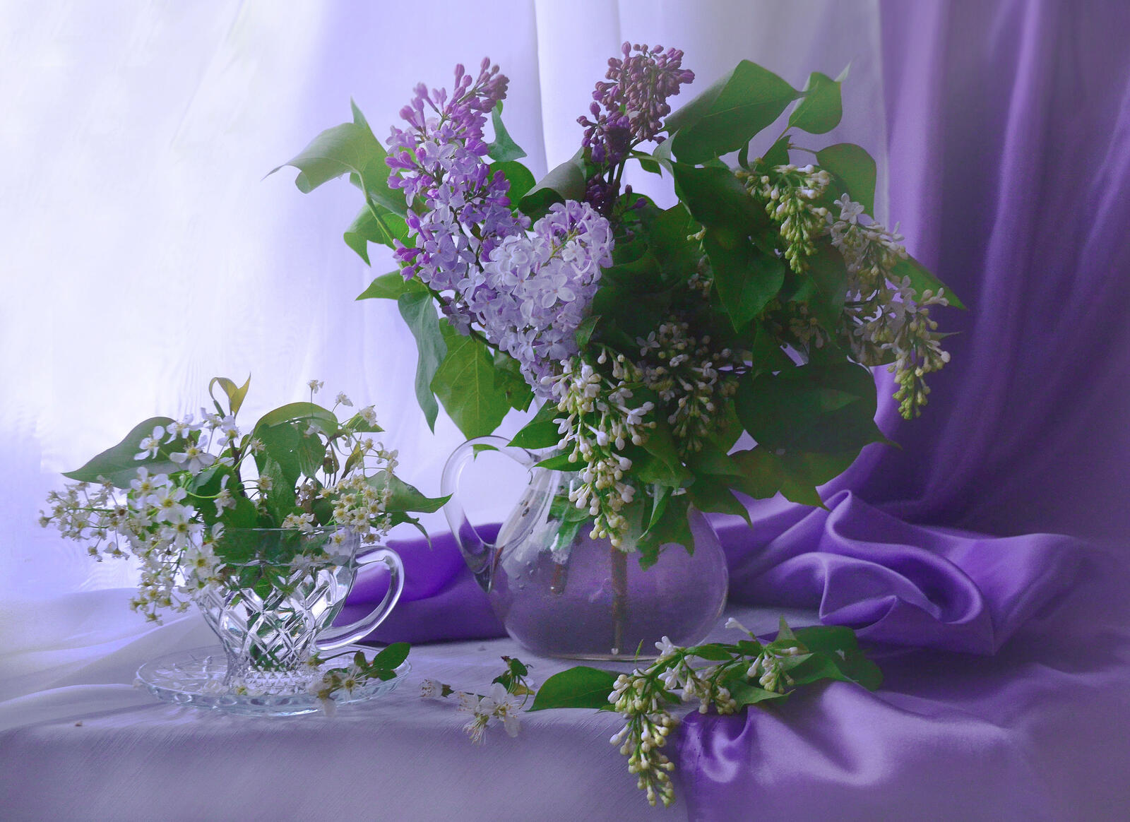 Wallpapers picture flowers lilac on the desktop