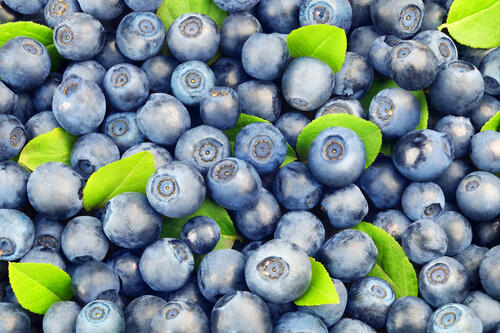 这么多蓝莓