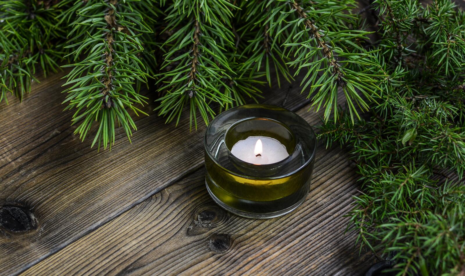 Wallpapers spruce candle Christmas on the desktop