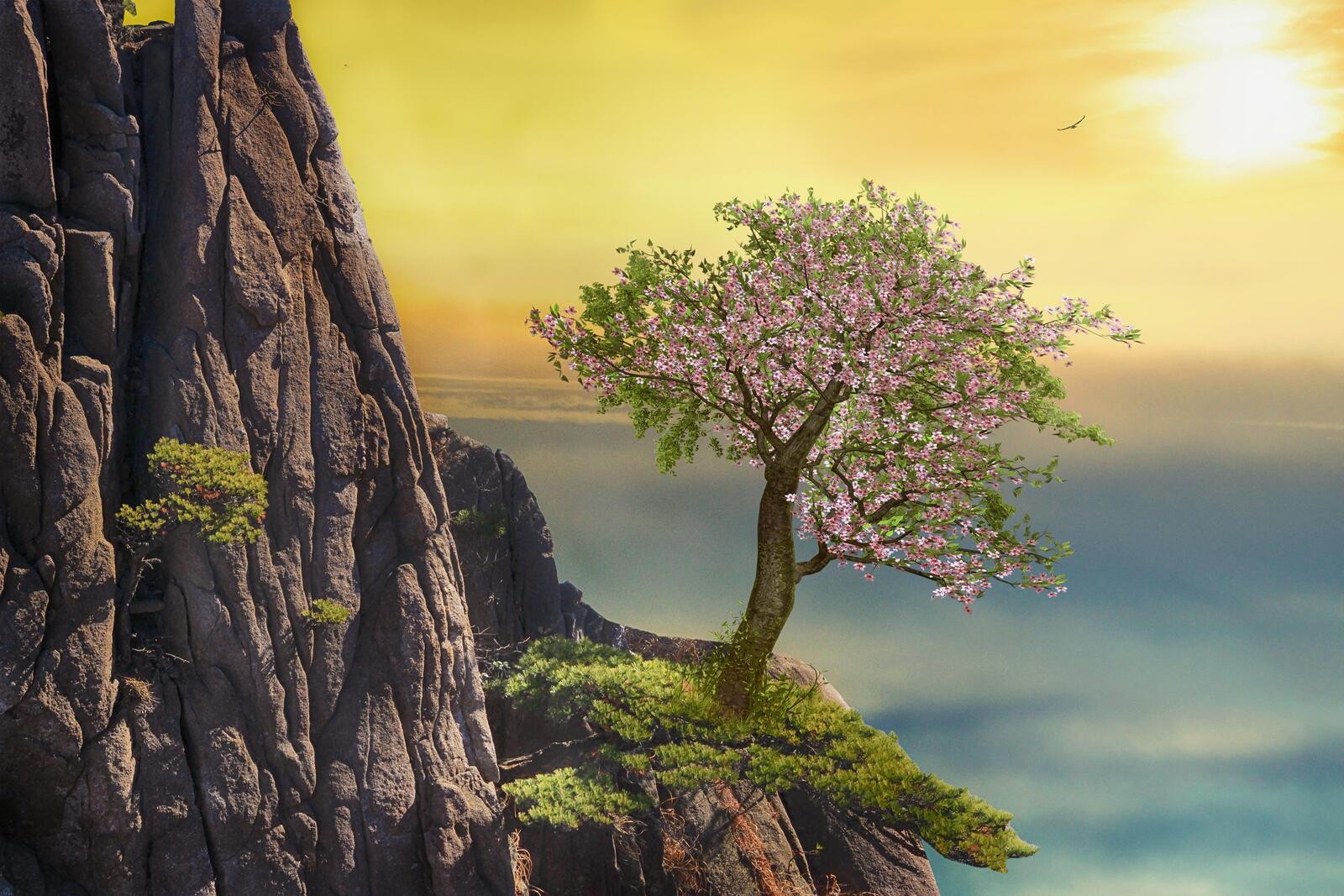 Wallpapers mountain tree landscape on the desktop