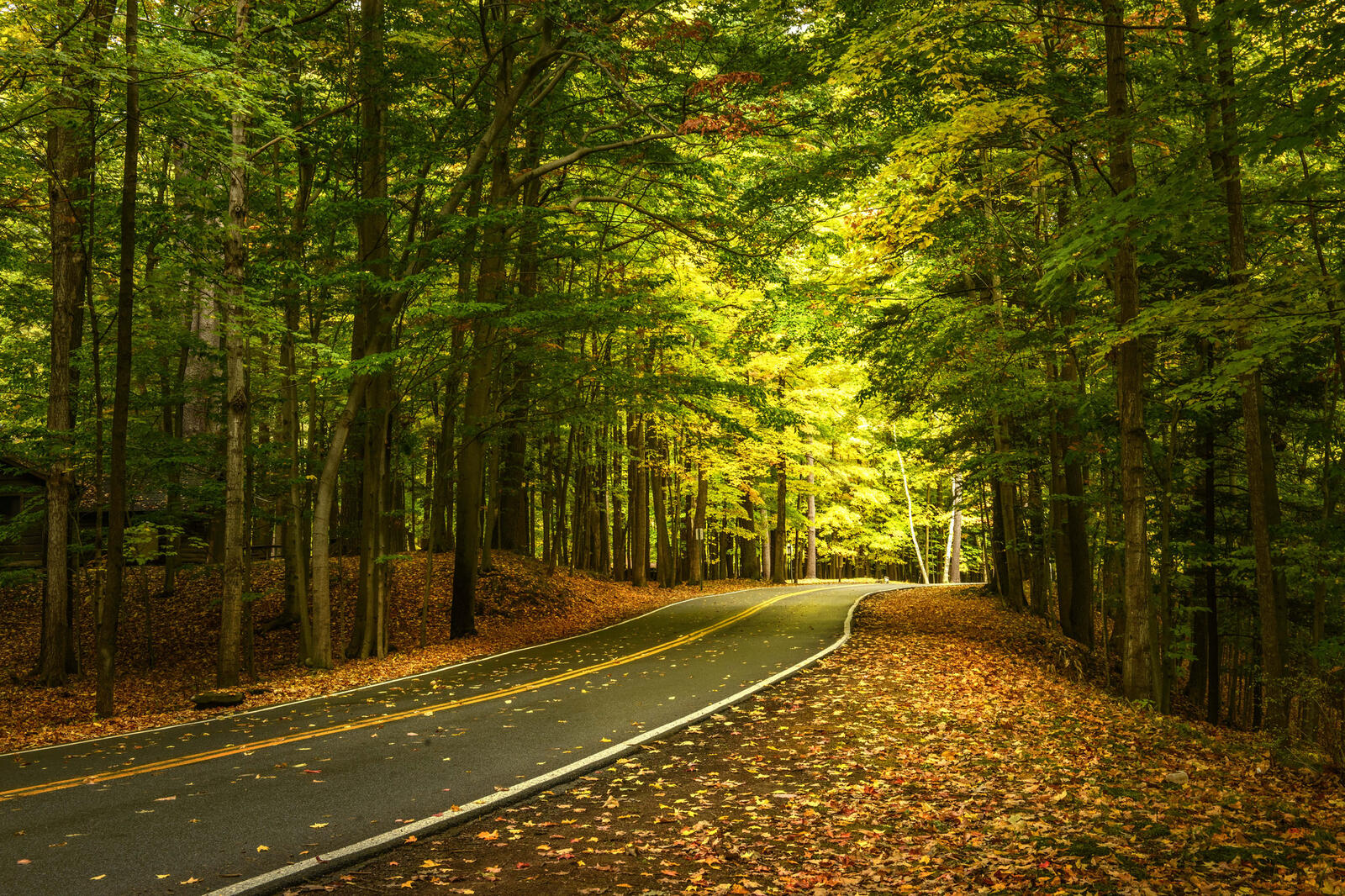 Wallpapers Letchworth State Park autumn road on the desktop