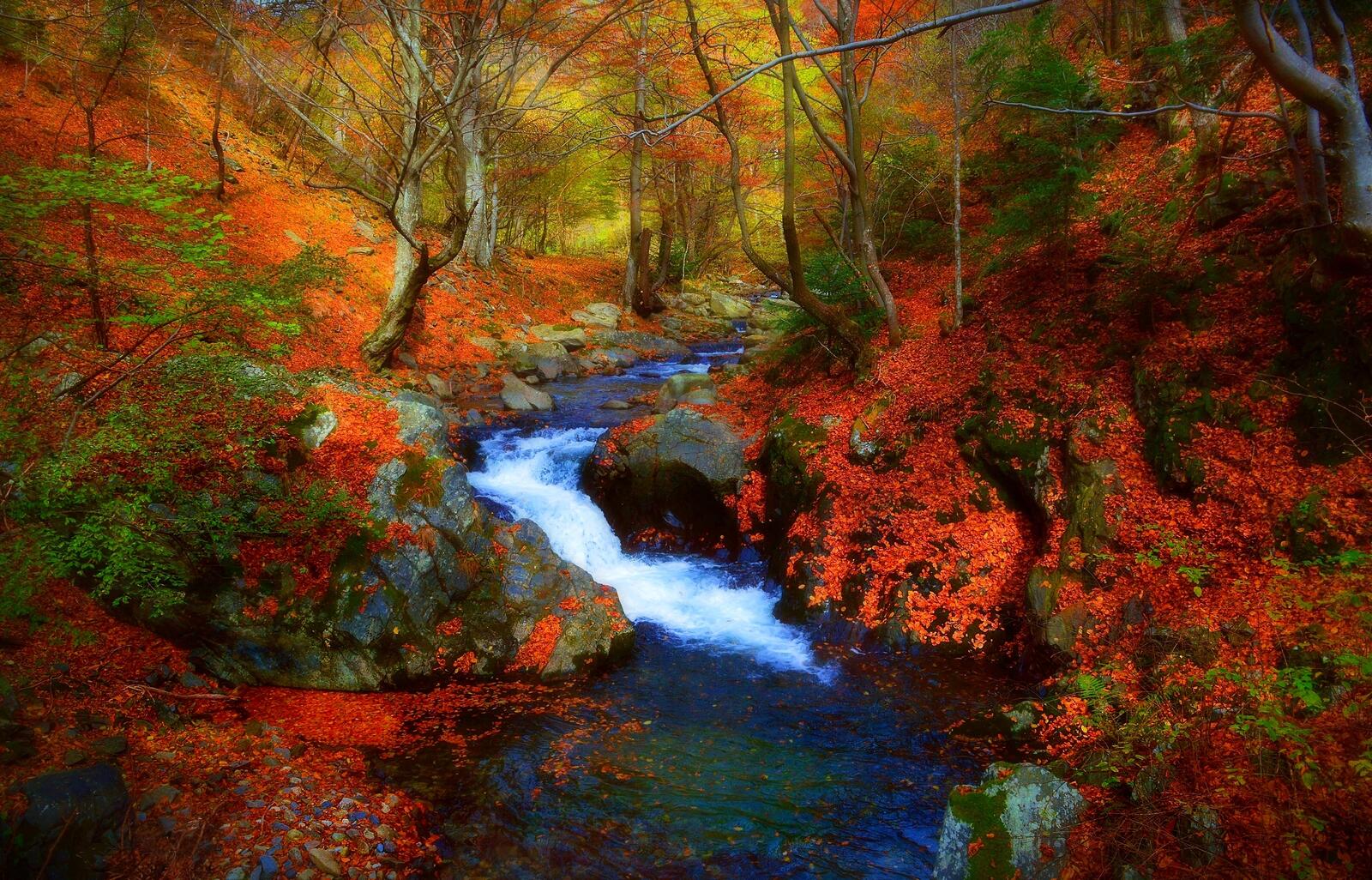 Wallpapers magical river autumn autumn colors on the desktop