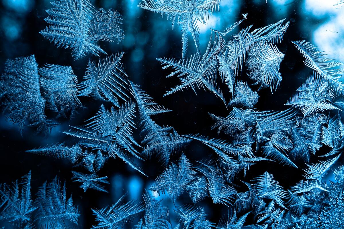 Frost painted patterns on the glass