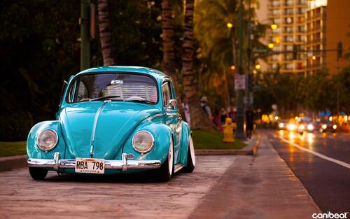 Old beetle car