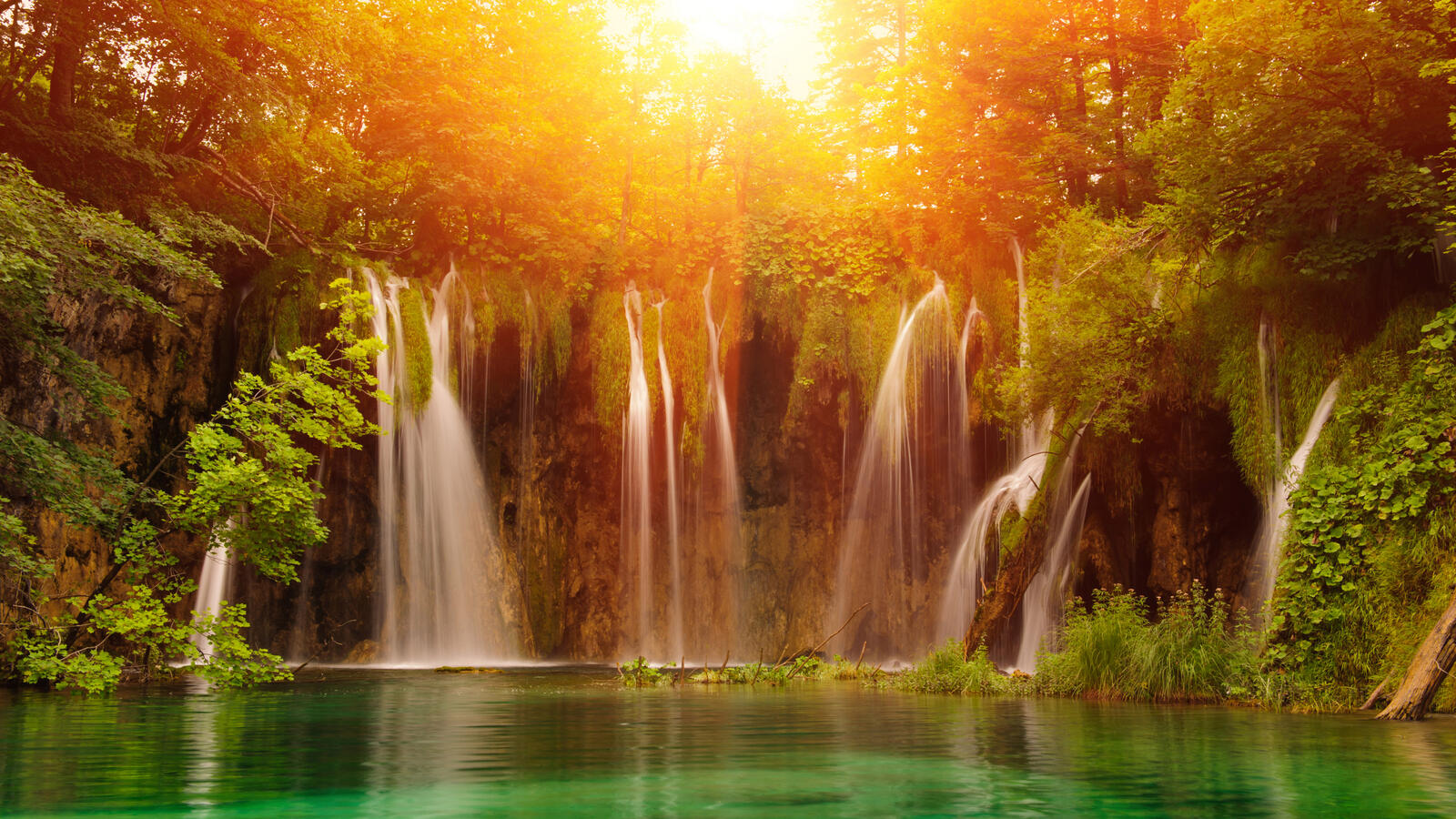 Wallpapers Plitvice Lakes Plitvice Lakes National Park in Croatia trees on the desktop