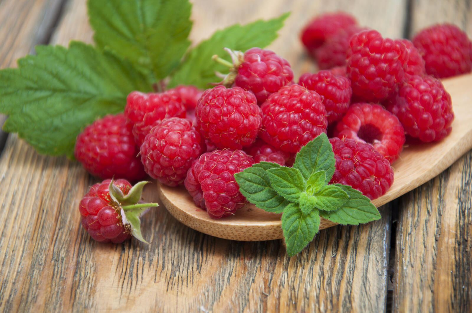 Wallpapers berry delicious berry healthy breakfast on the desktop
