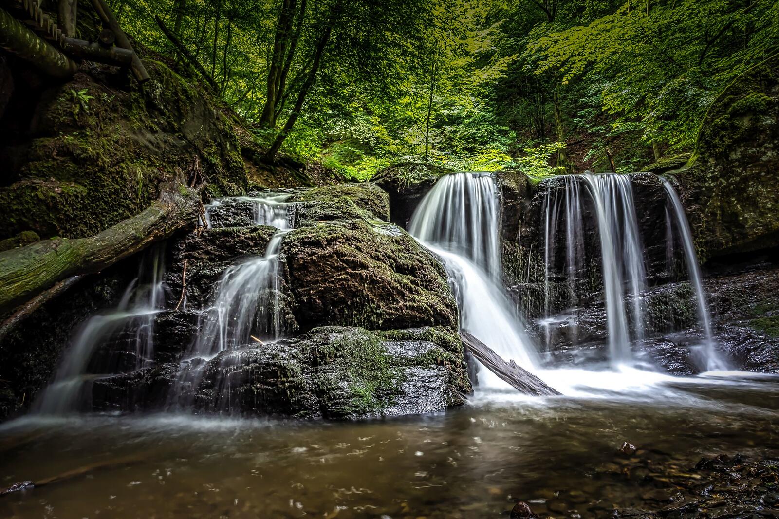 Wallpapers flow waterfall forest on the desktop