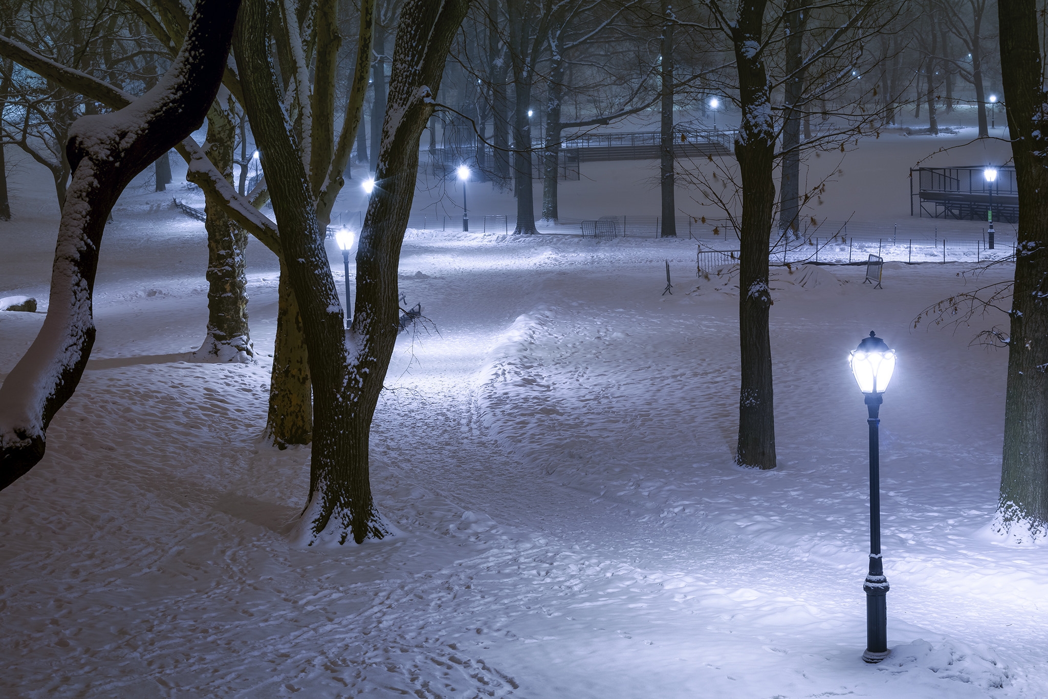 Ночной зимний парк с фонарями