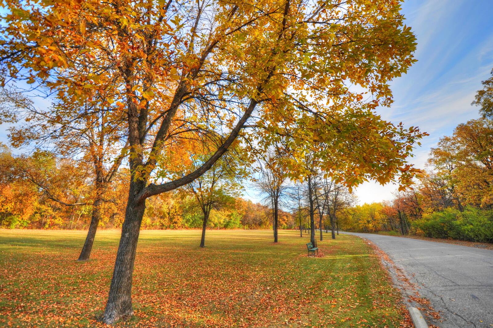 Бесплатное фото Осенняя прогулка возле леса