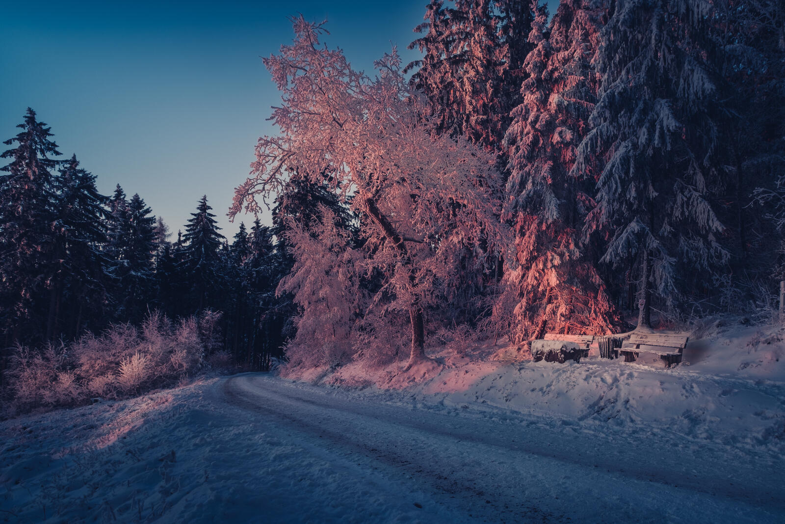 Wallpapers winter Germany Odenwald on the desktop