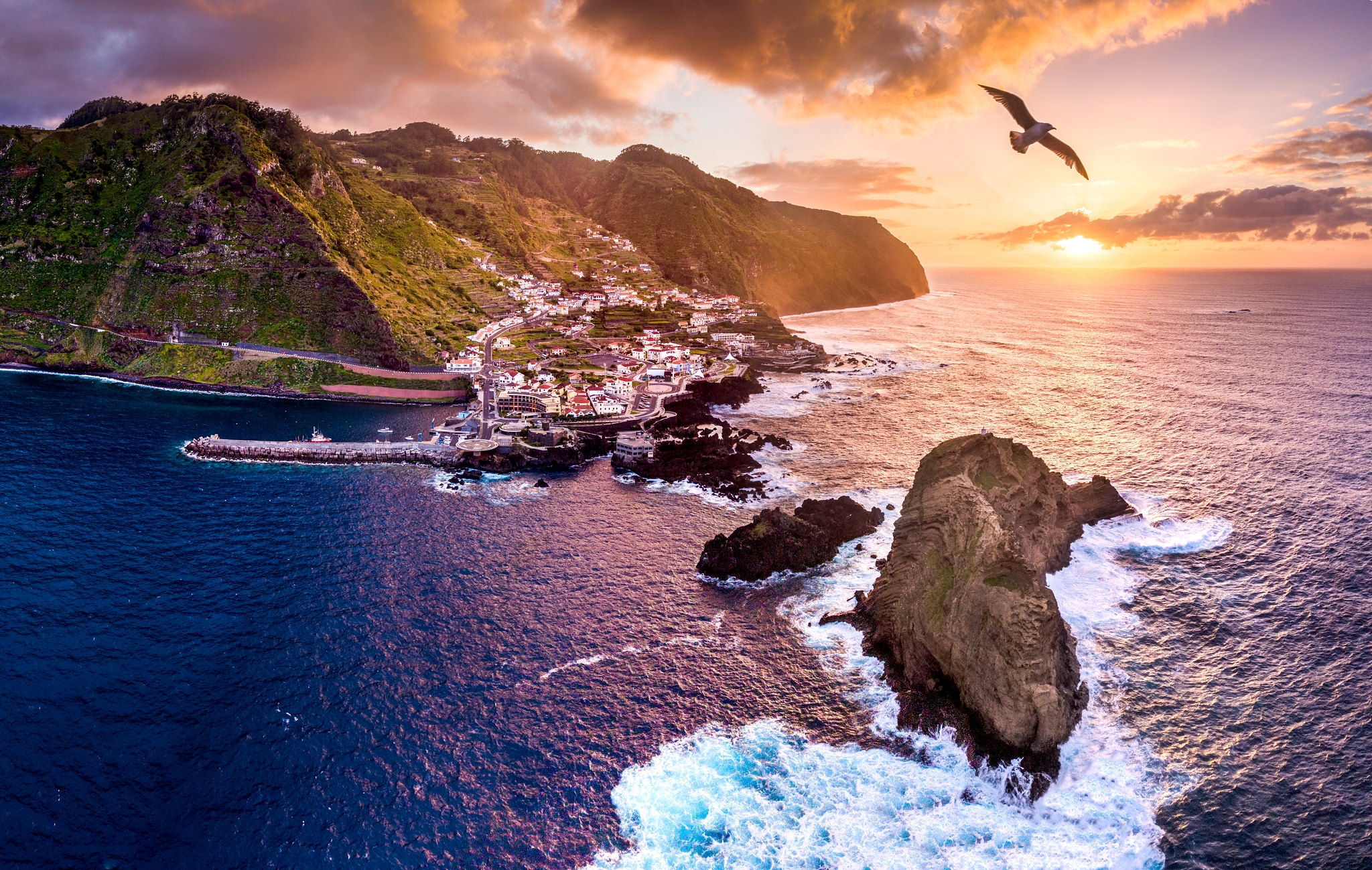 Остров Мадейра, Атлантический океан, 30 августа 1864 года.
