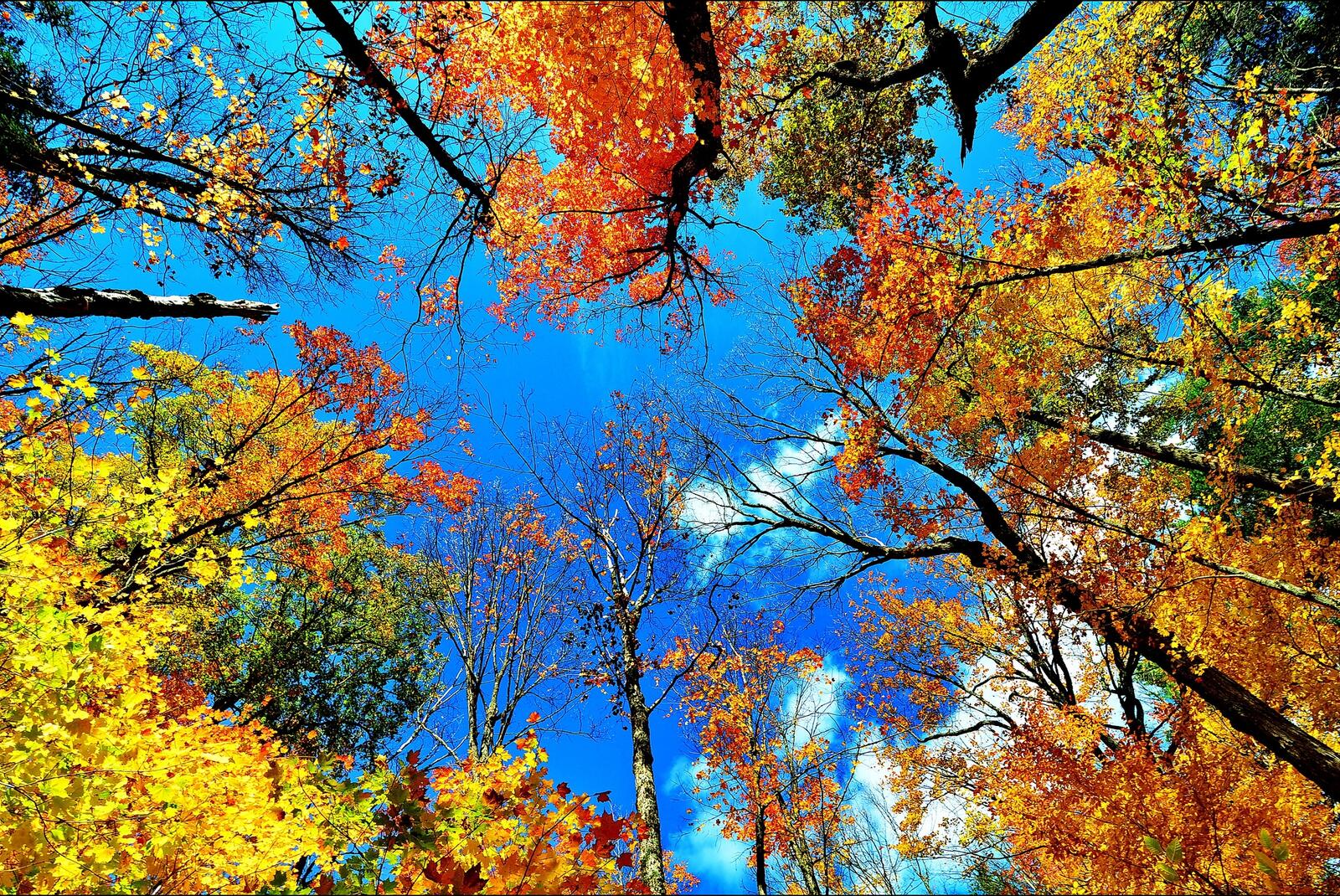 Wallpapers sky autumn colors landscape on the desktop